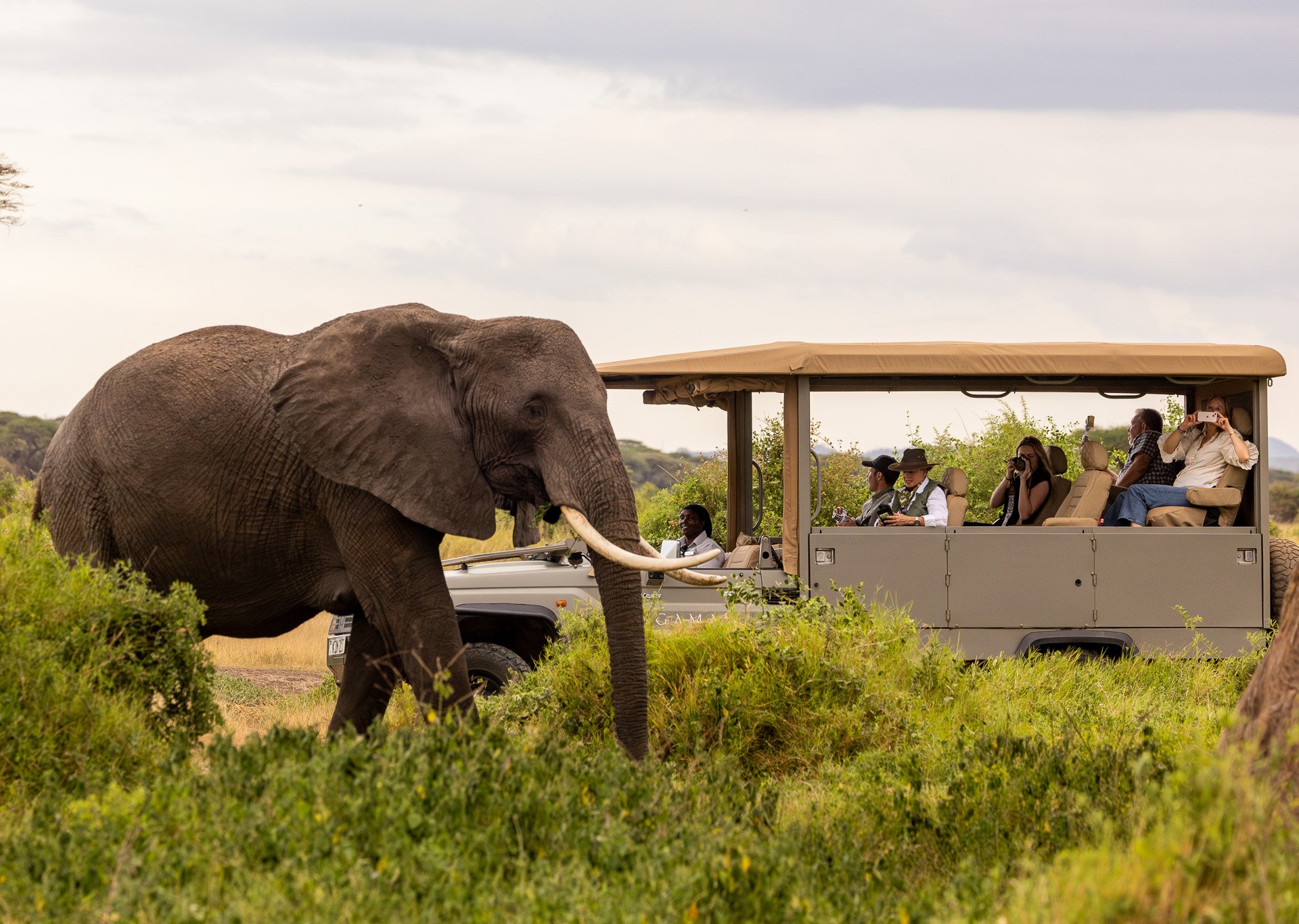 One must be camera ready around every bend when on safari in Kimana Sanctuary