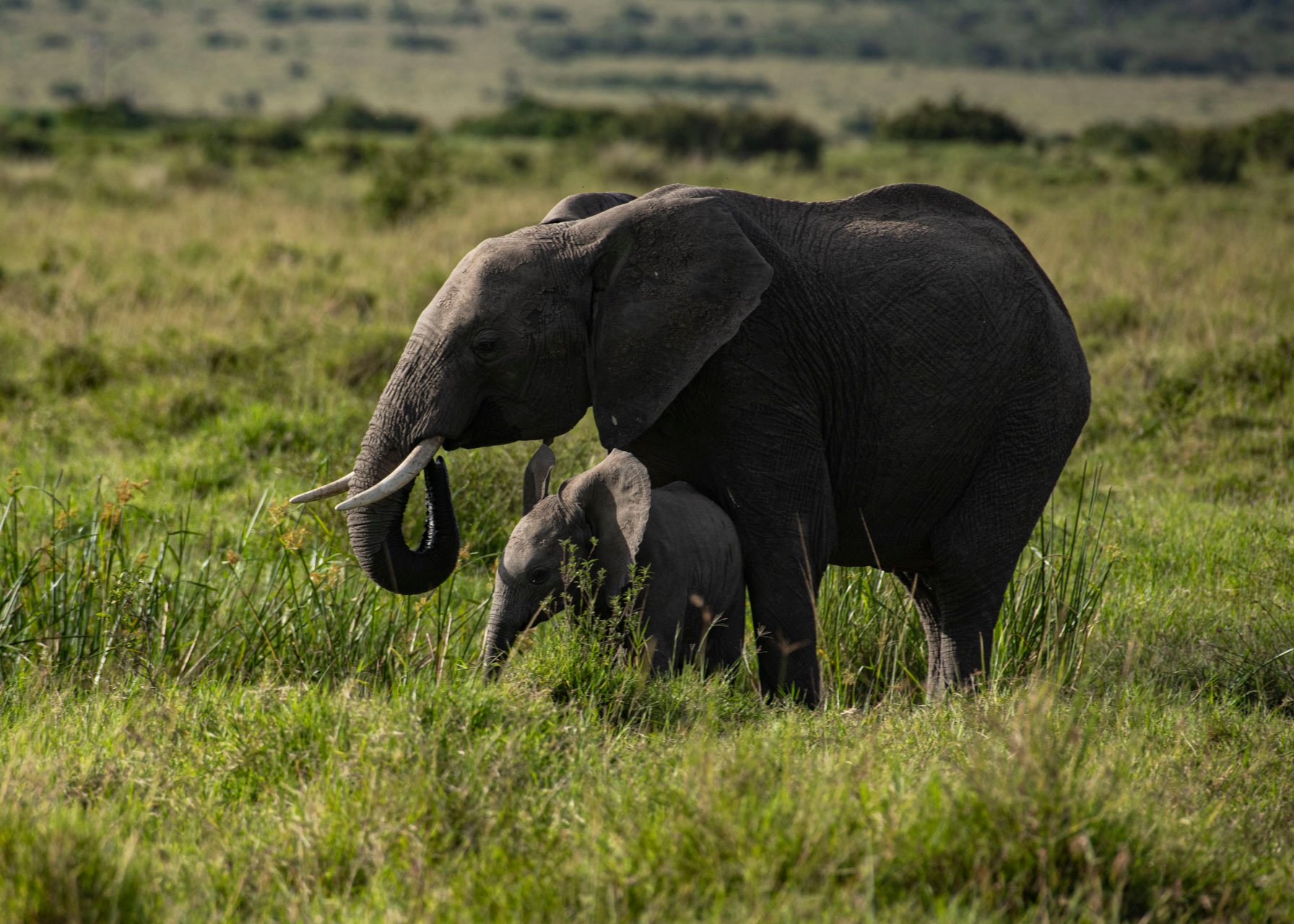 F8.0, 1/640, ISO200 | Guide Jeremy Macharia 