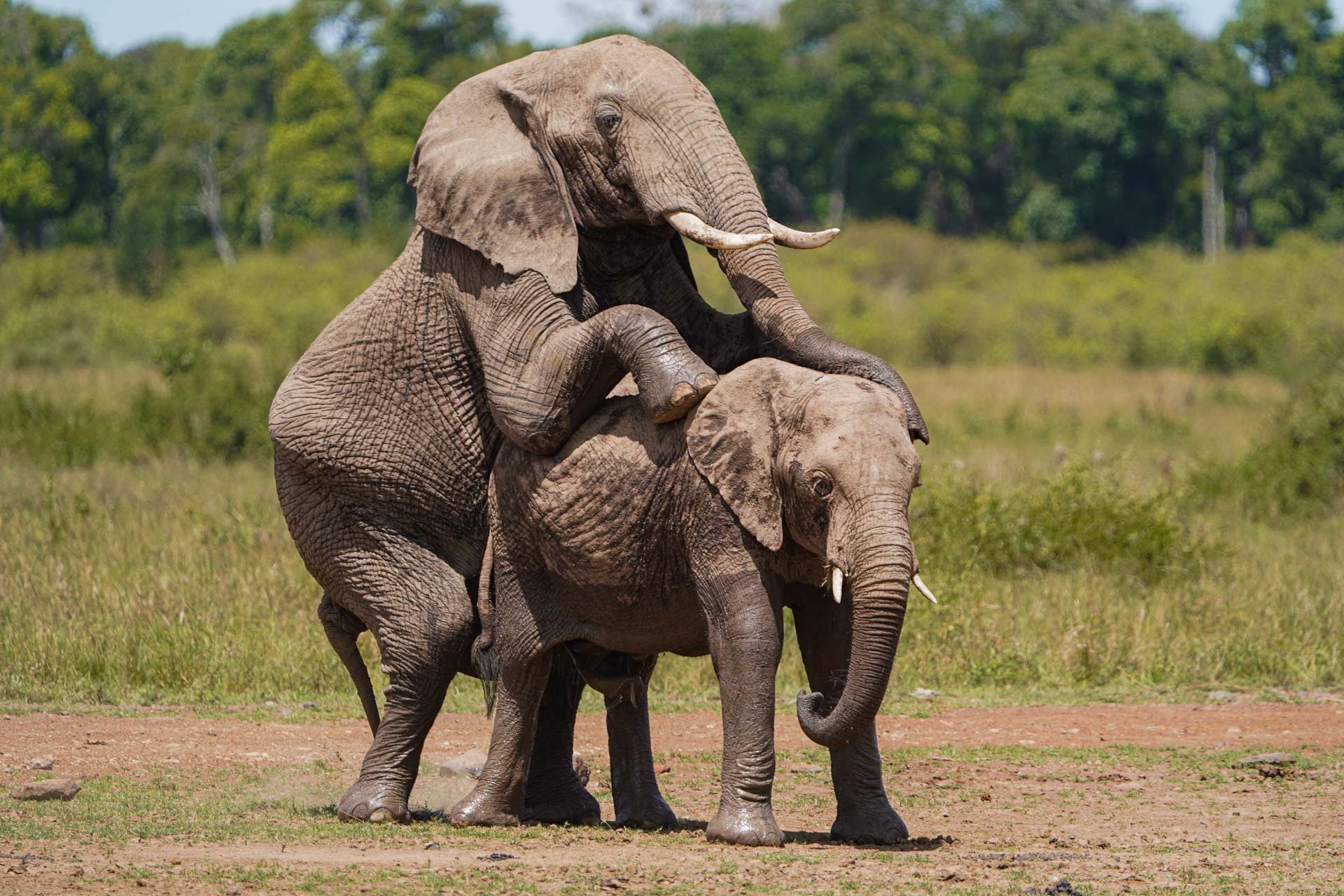 F6.3, 1/500, ISO200 | Arnold Omondi 