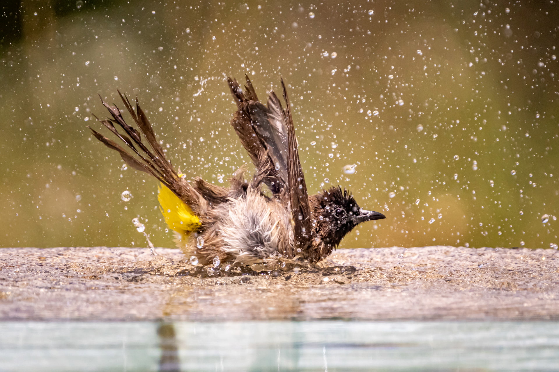 Freeze motion requires a fast shutter speed like 1/4000th of a second