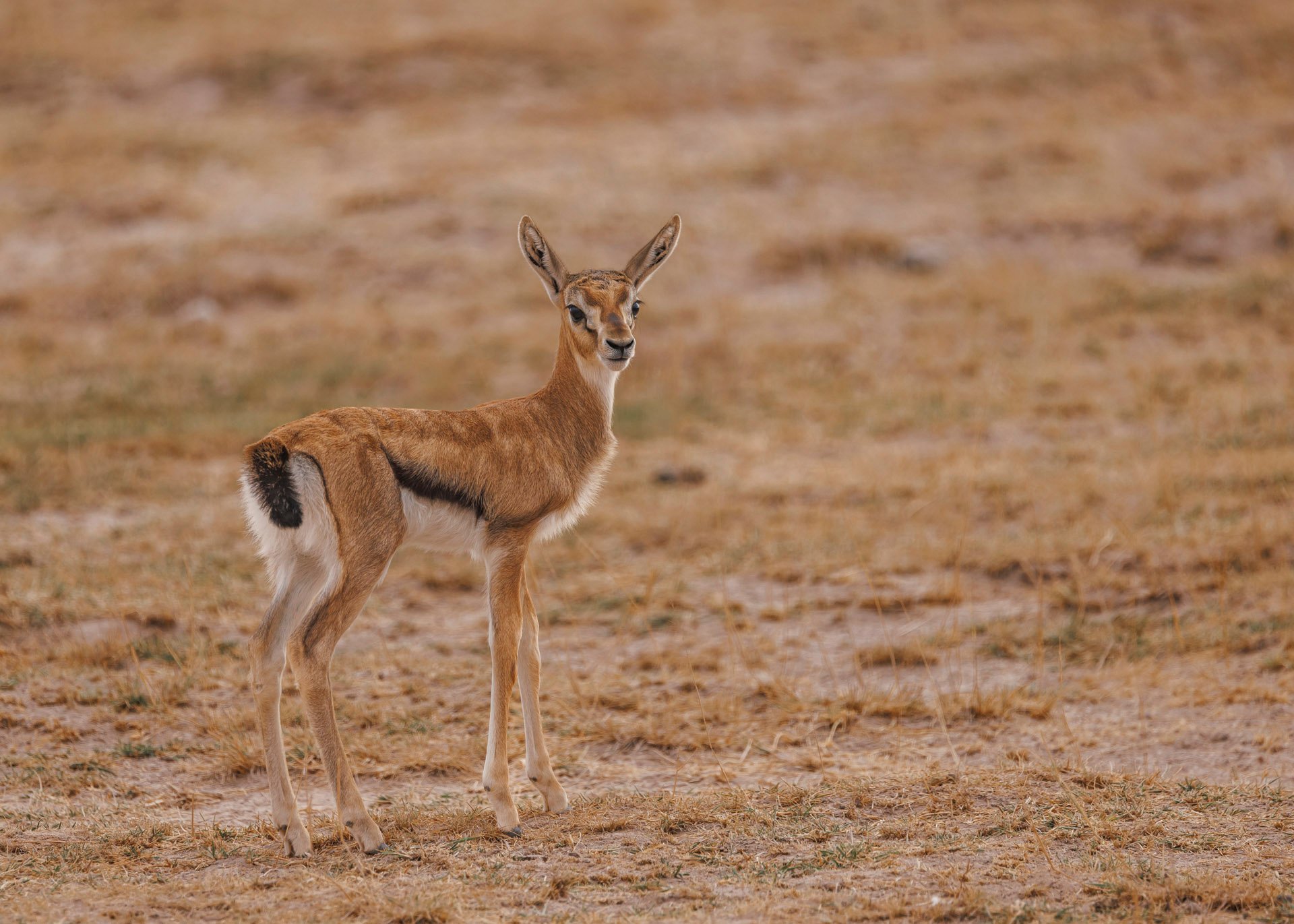 F6.3, 1/640, ISO250 | Rio Marvin 