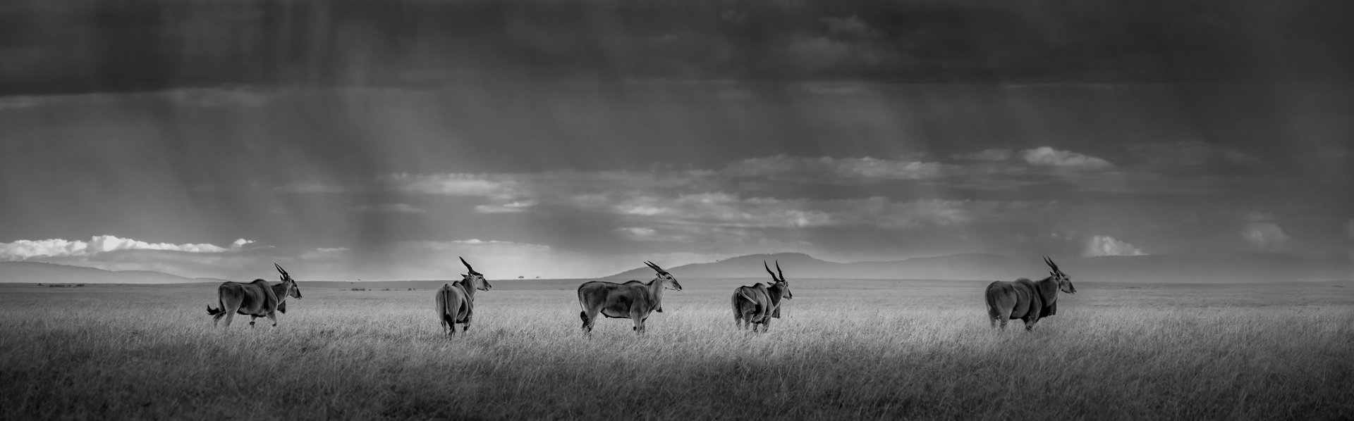 ‘Under A Kenyan Sky’ By Paul Dunphy (Canada)