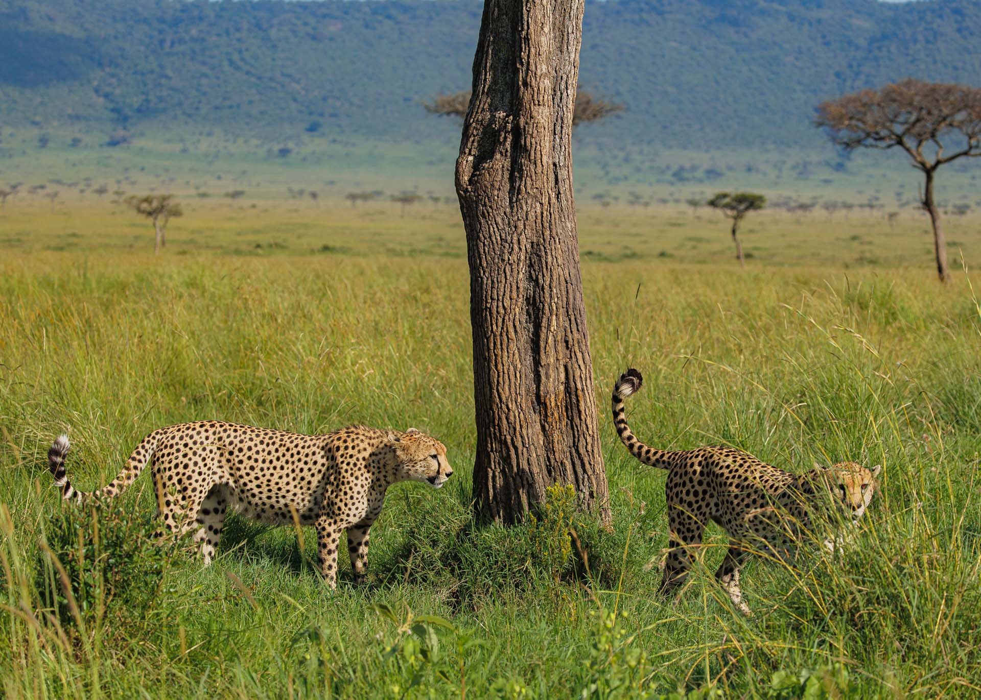 F5.6, 1/1000, ISO160 | Arnold Omondi 