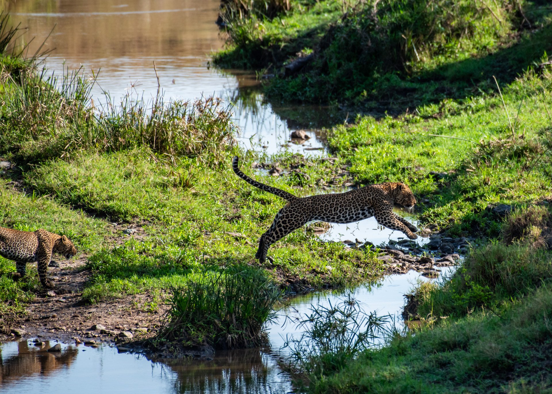 F 5.6, 1/1250, ISO 560 | Titus Keteko