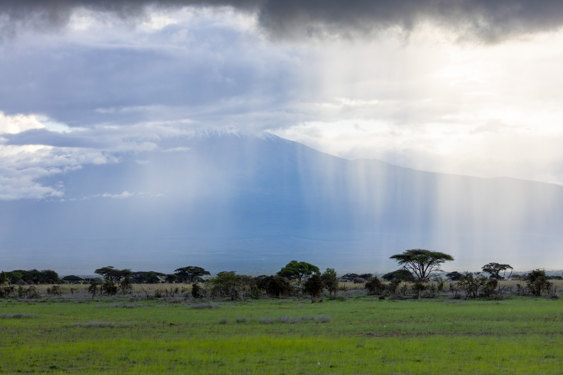 F 5.6, 1/1000, ISO 500 | Sammy Njoroge 