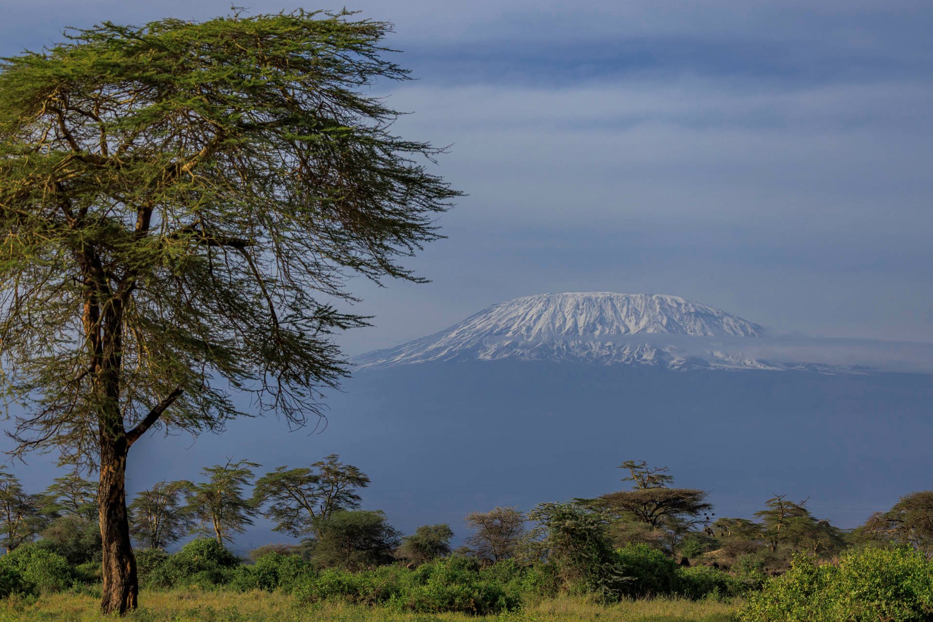 F5.6, 1/2500, ISO200 | Marvin Mwarangu 