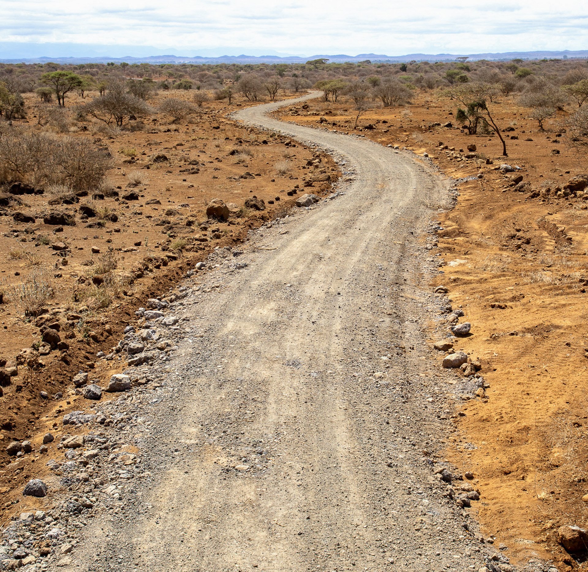 ... sometimes they're about connecting communities, wildlife and the future