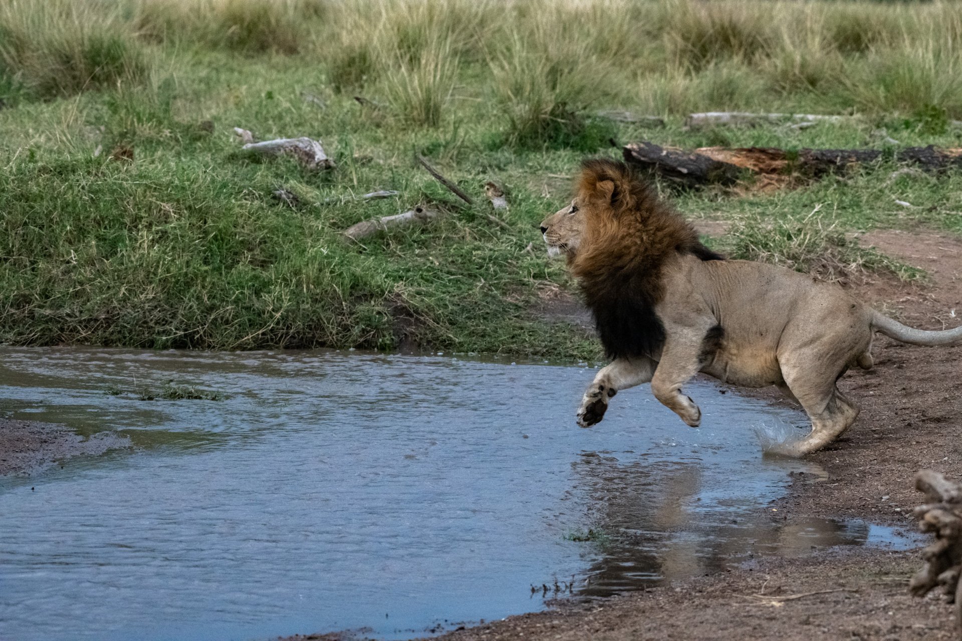 F 7.1, 1/1000, ISO 4000 | Photo: Jeremy Macharia