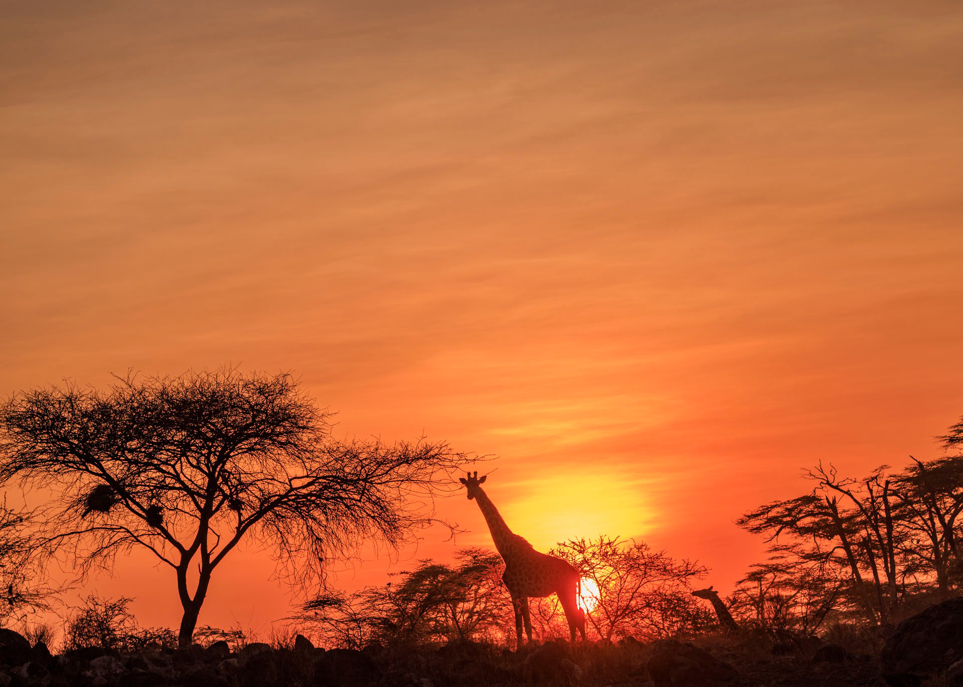 ...gifting guests the 'perfect' sunset