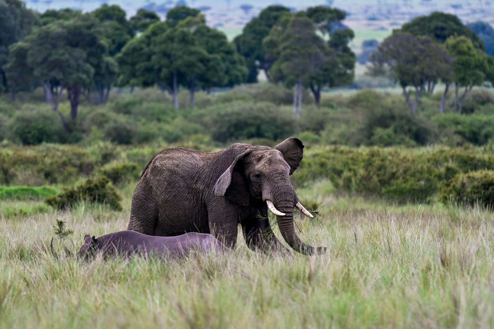 F 6.3, 1/250, ISO 560 | Guest Antony Seeff 