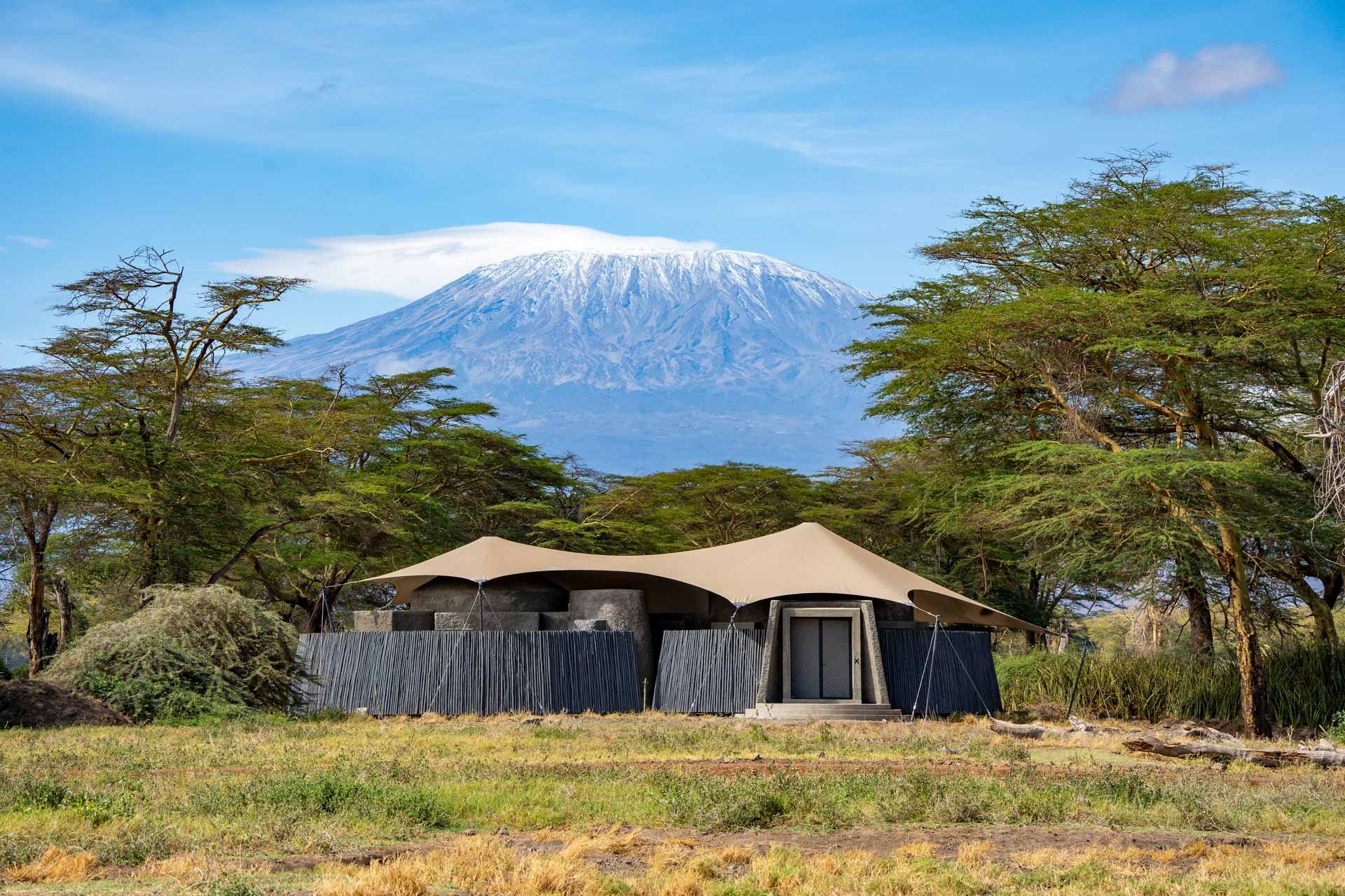 Angama Amboseli's suites have been carefully placed amongst the trees