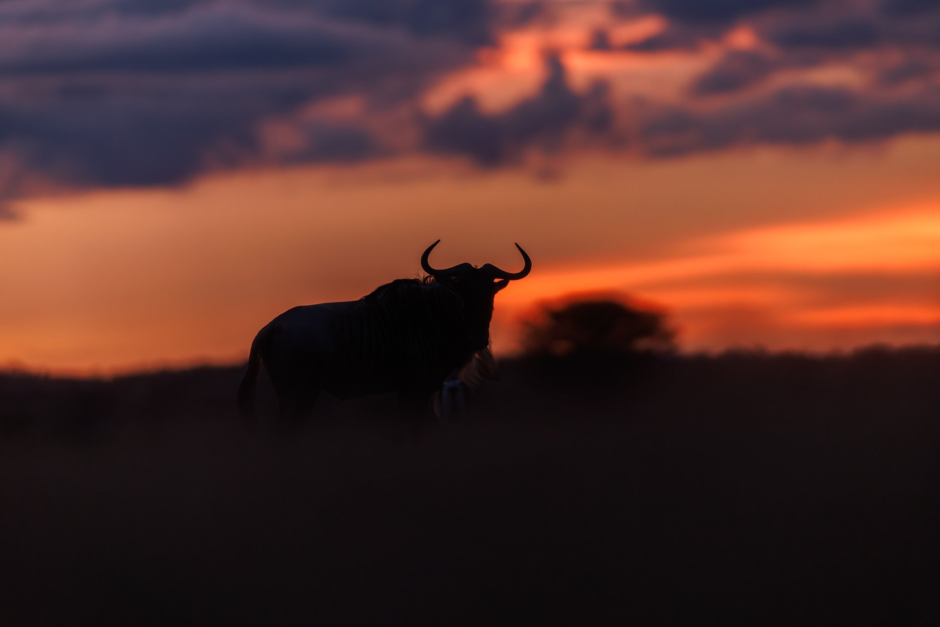 There's nothing quite as spectacular as an African sunset