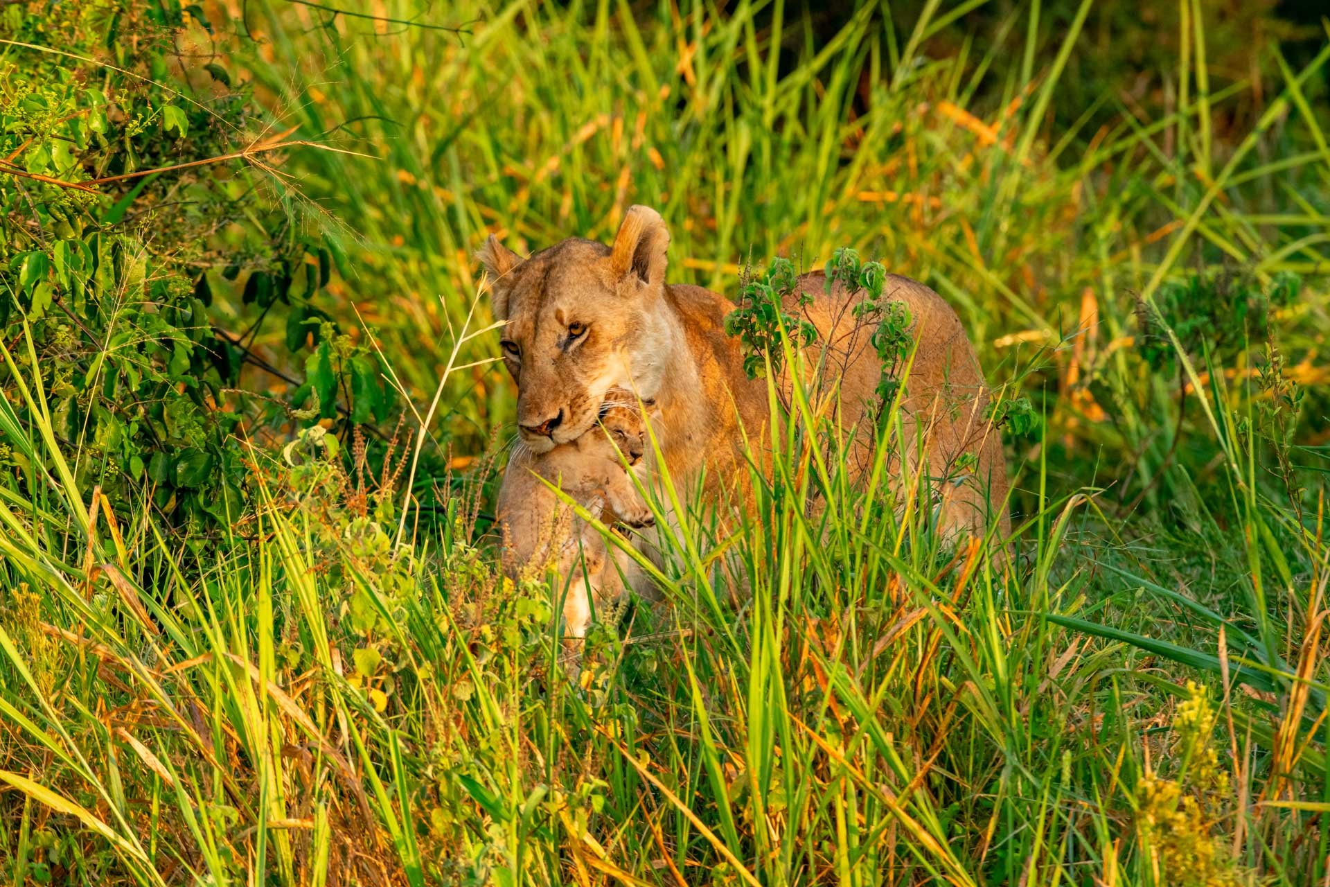 F 8.0, 1/400, ISO 800 | Guide Jeremy Macharia 