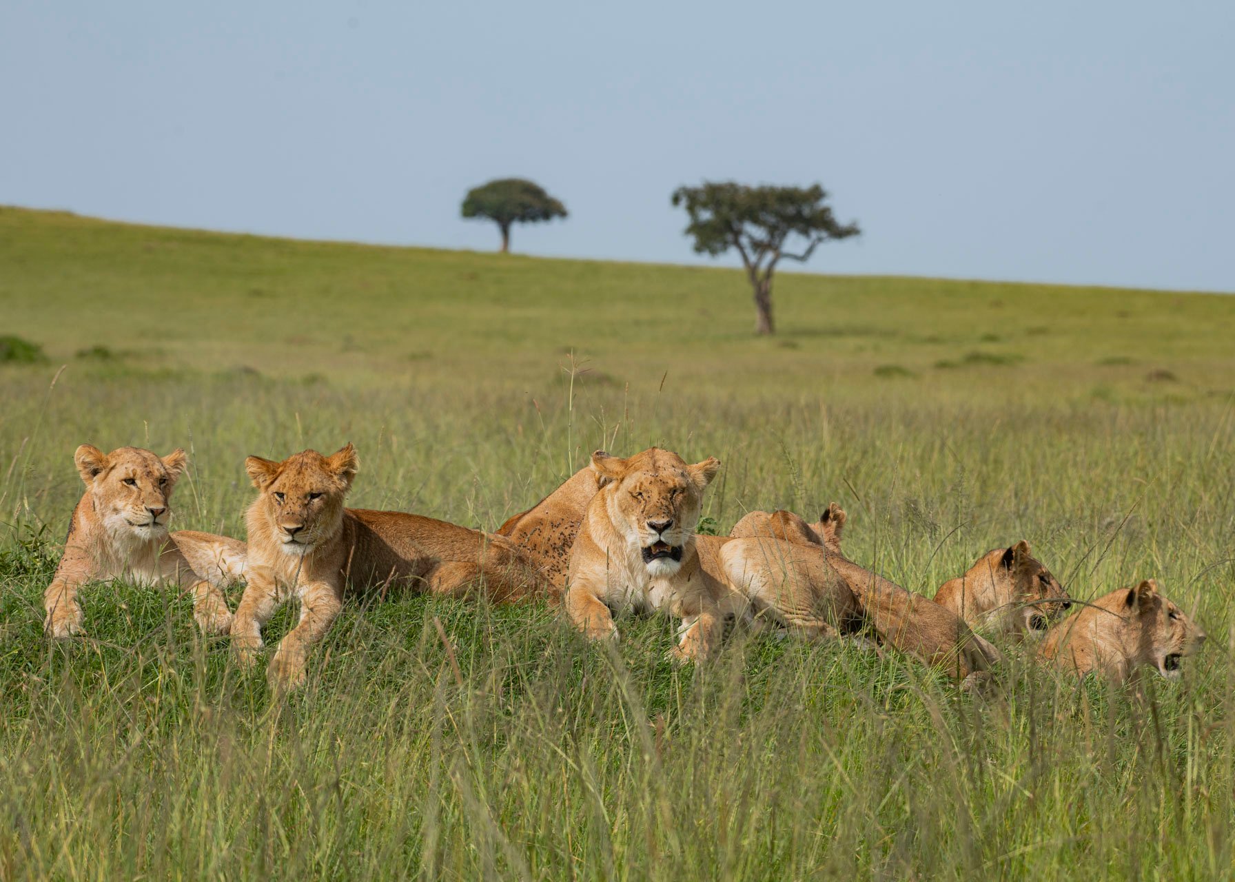 F8.0, 1/320, ISO100 | Guide Jeremy Macharia 