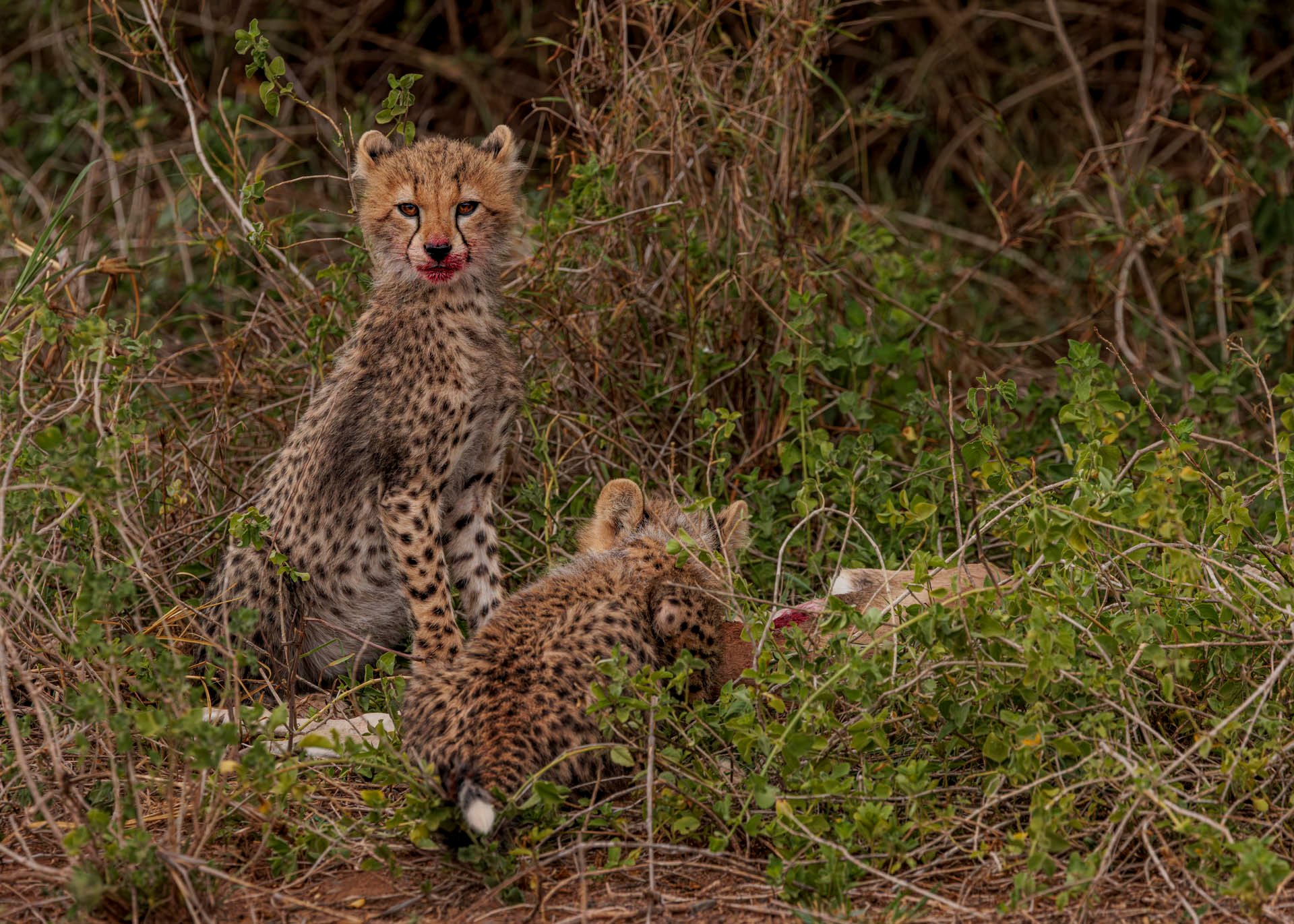 F8.0, 1/1250, ISO1000 | Marvin Mwarangu 