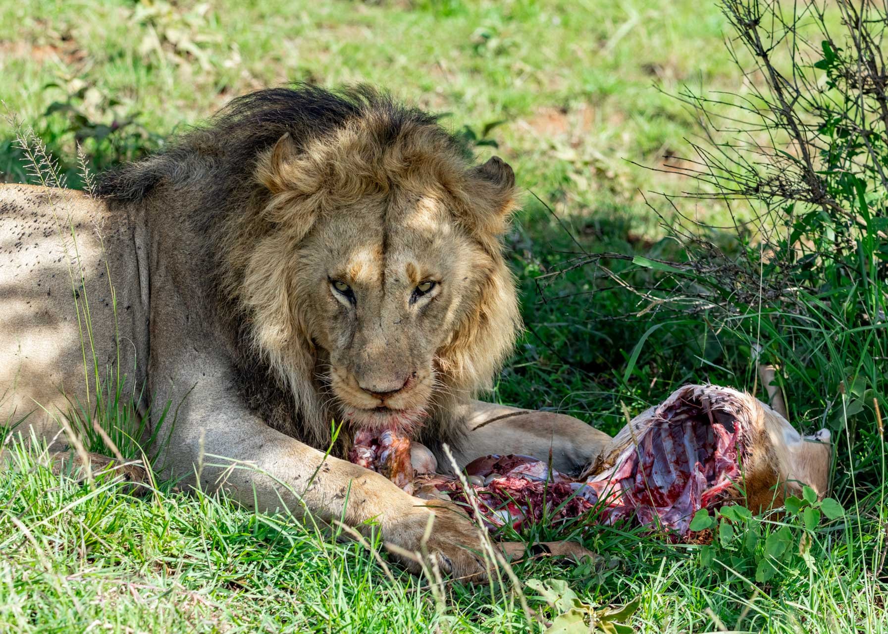 But meal time is over once dad moves in