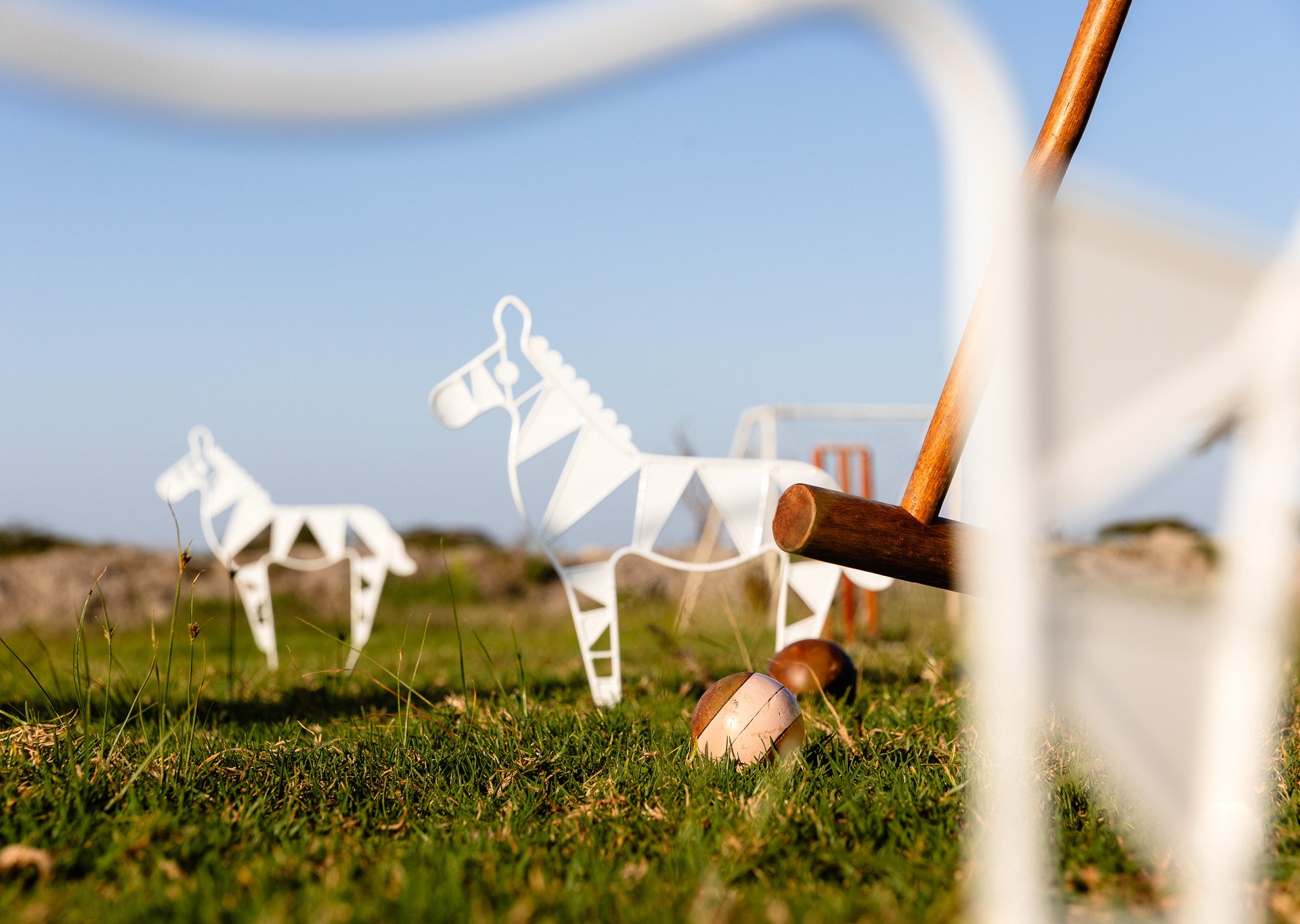 Custom Croquet, Safari Style