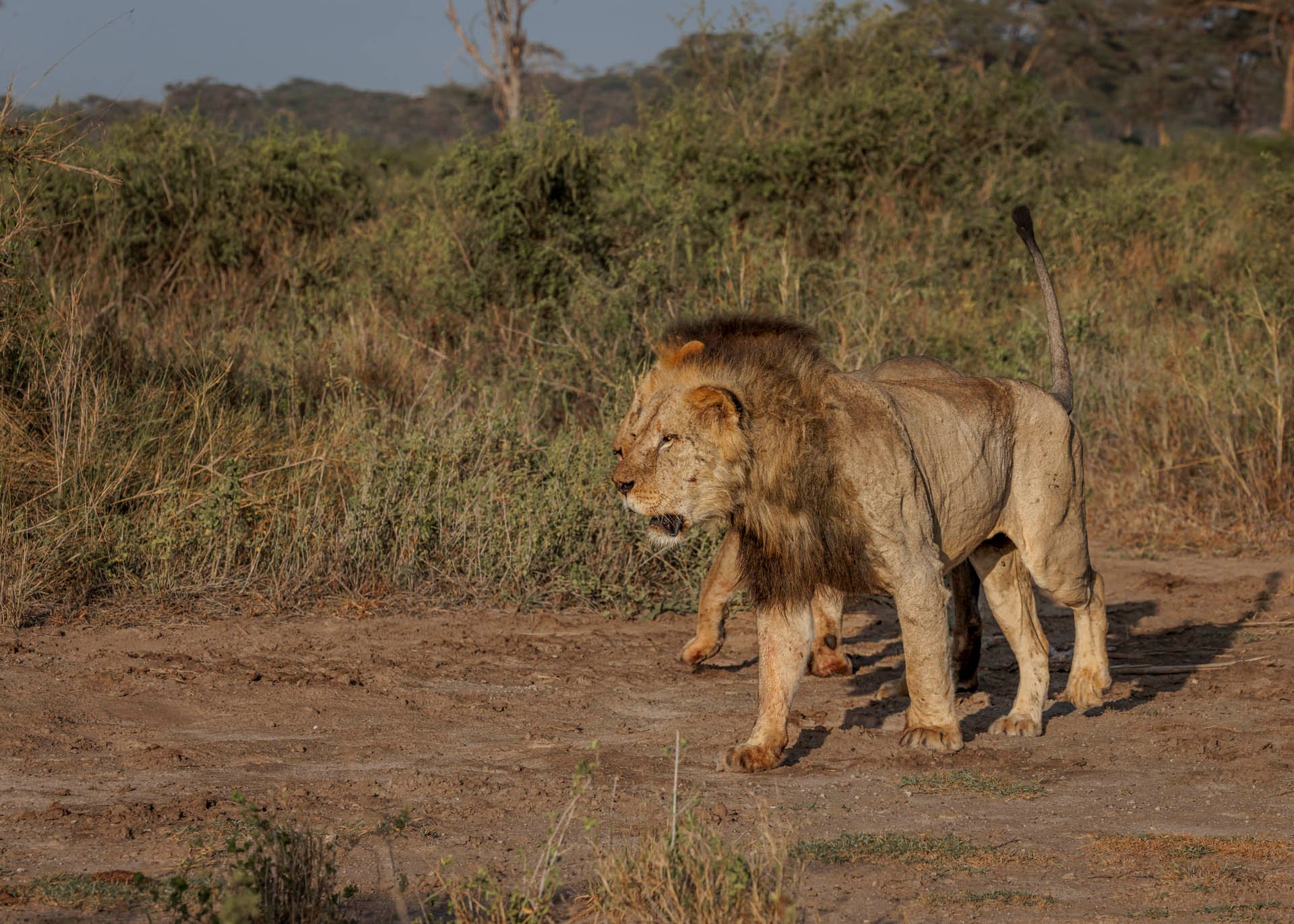F9.0, 1/2500, ISO800 | Marvin Mwarangu 