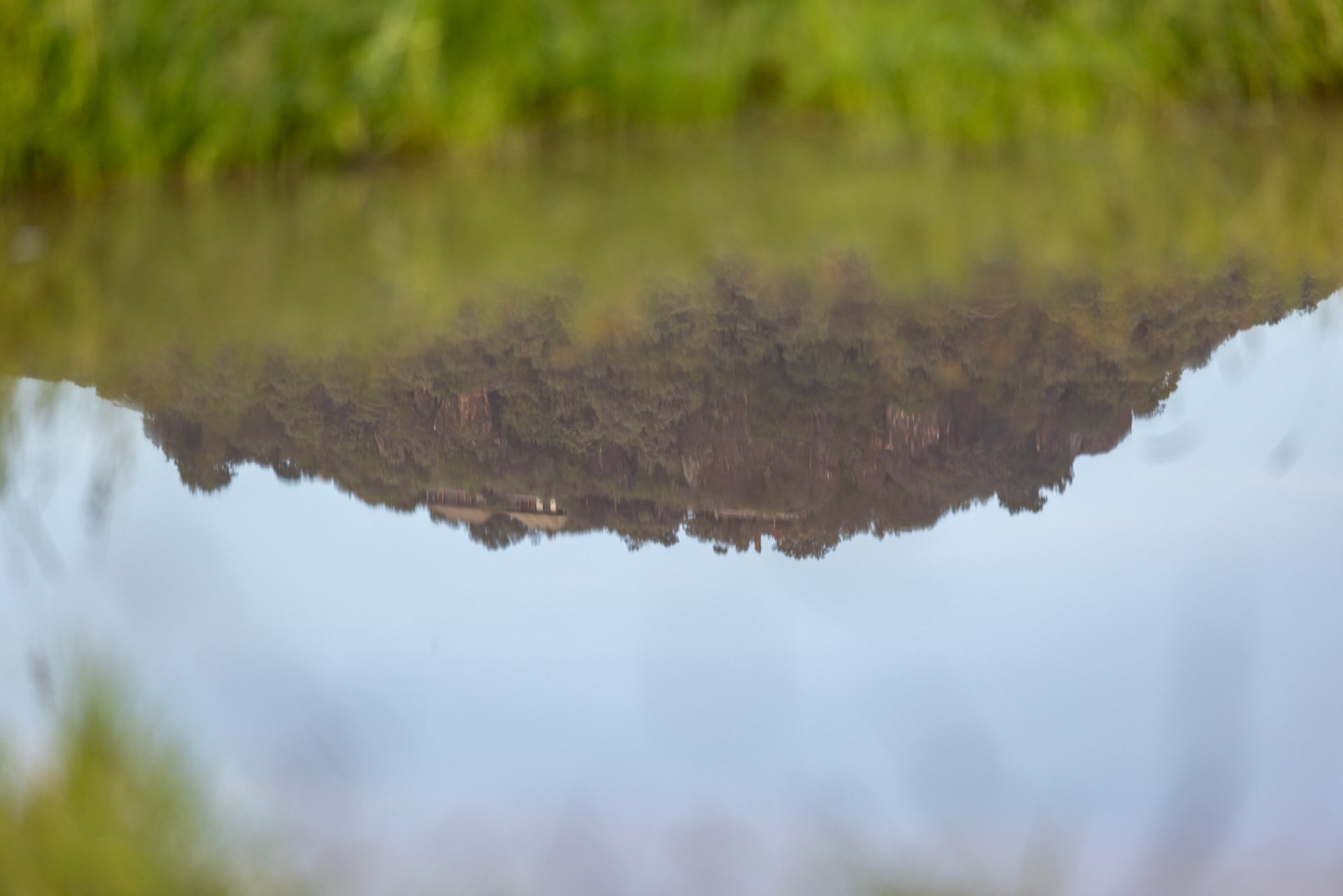 F 5.6, 1/400, ISO 500 | Andrew Andrawes