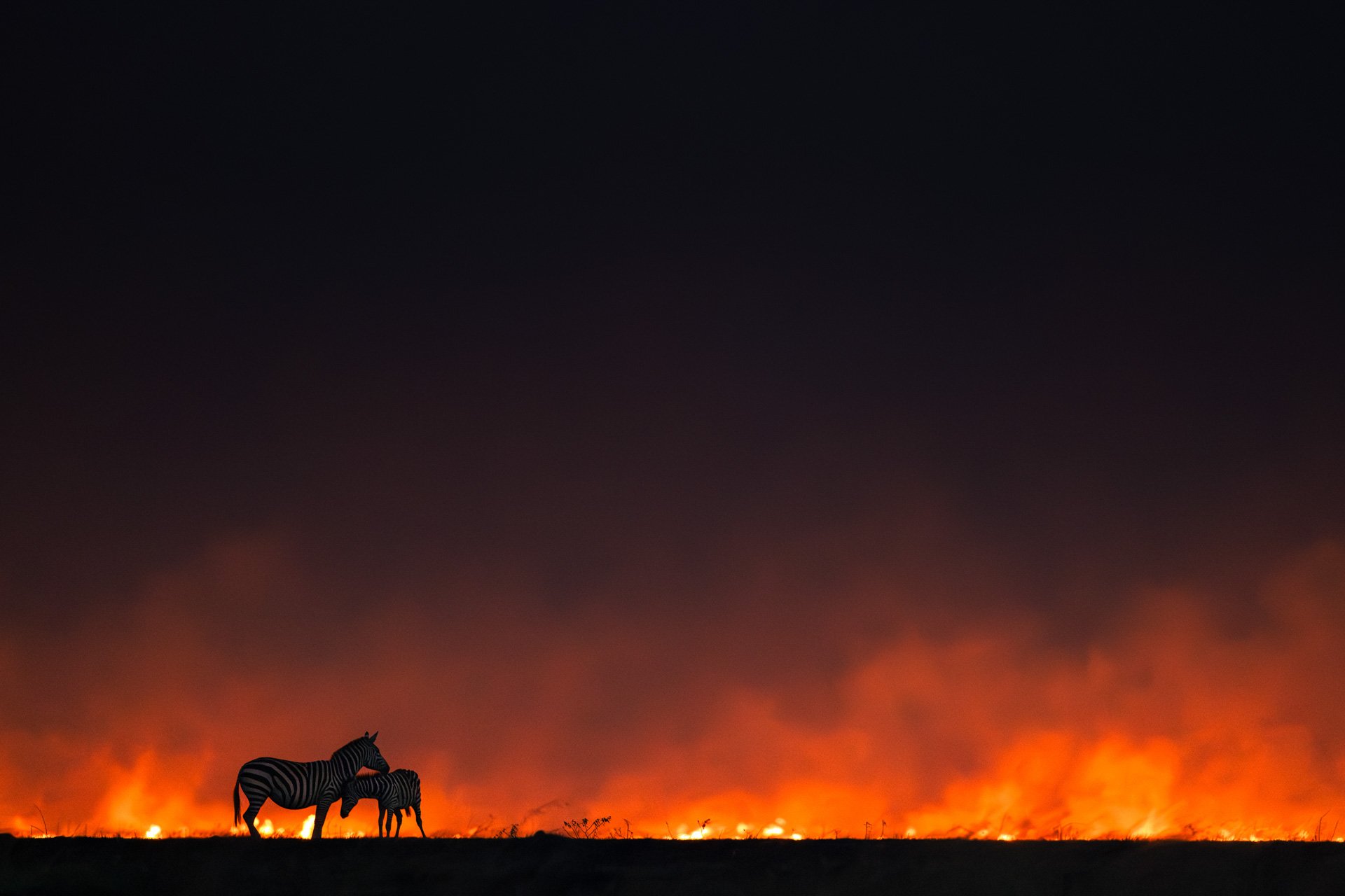 “Together Through The Inferno” By Eric Averdung (Kenya)