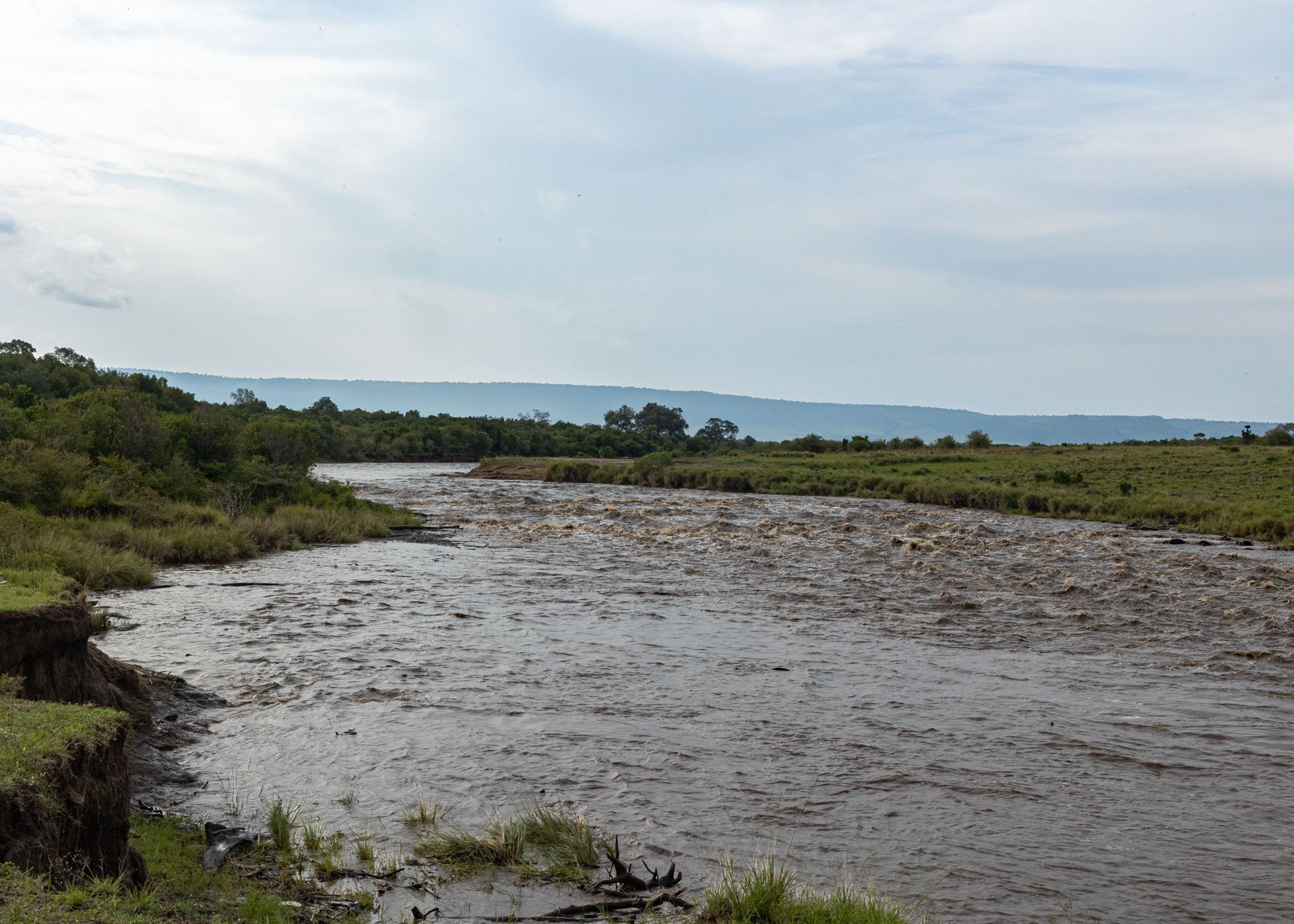 F22.0, 1/250, ISO1250 | Arnold Omondi 