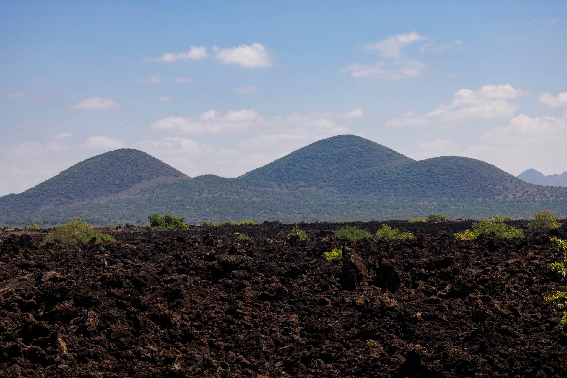 Lava stopped mid-surge centuries ago, creating twisted black rocks