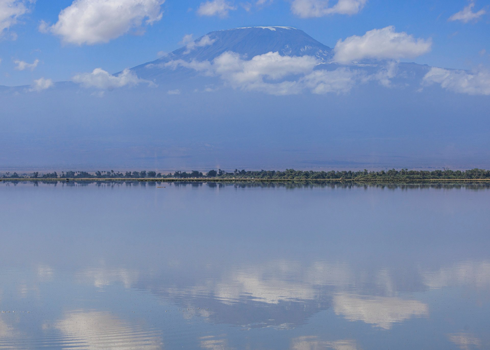 F7.1, 1/2500, ISO250 | Rio Marvin 