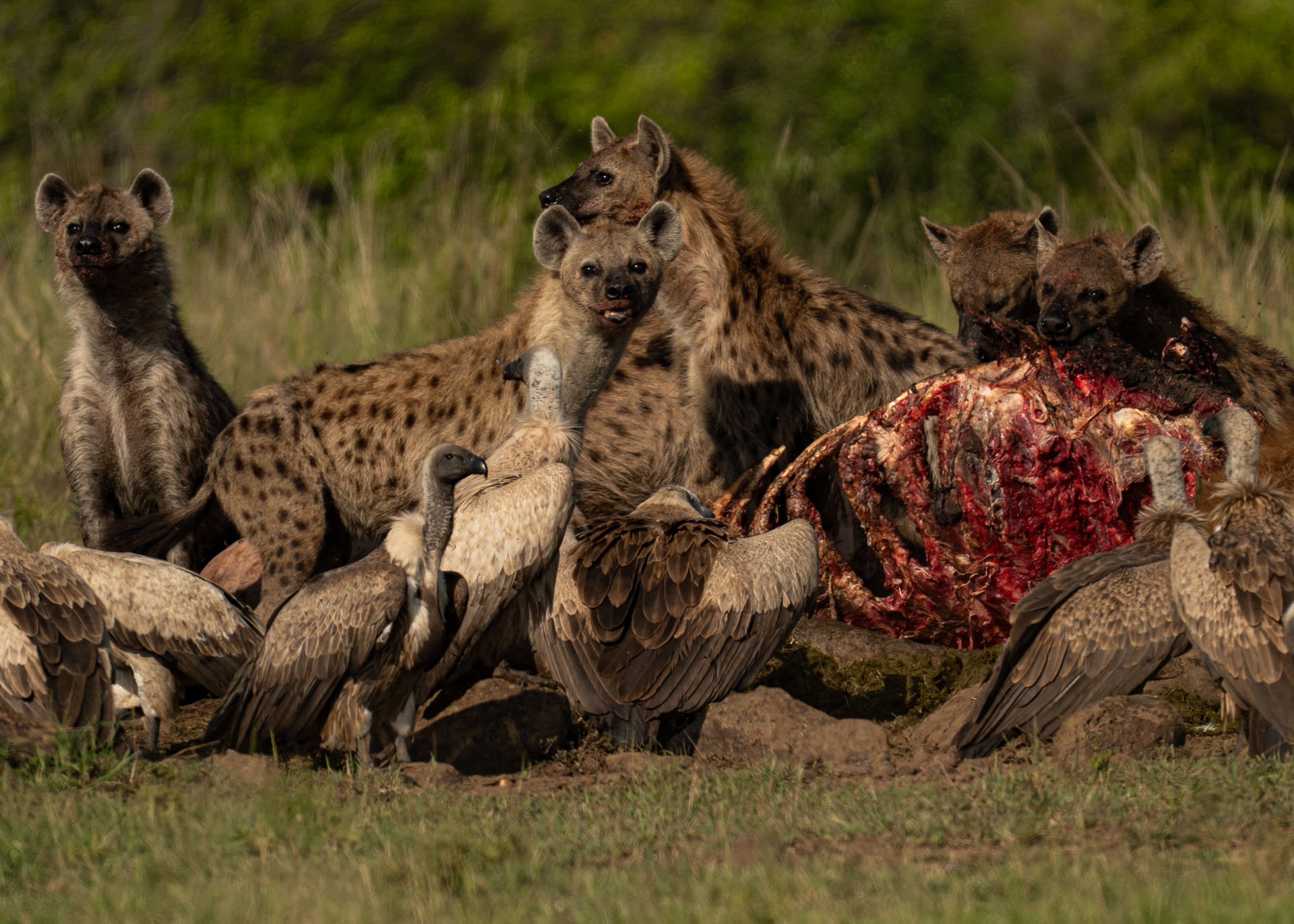 F6.3, 1/1250, ISO160 | Arnold Omondi 