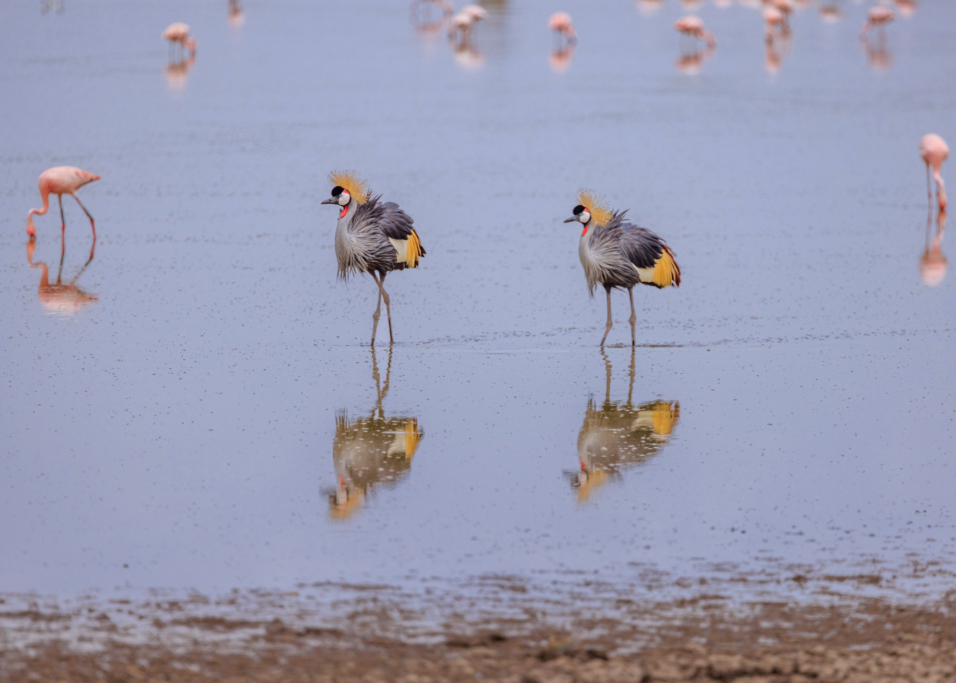 F7.1, 1/1600, ISO200 | Marvin Mwarangu 