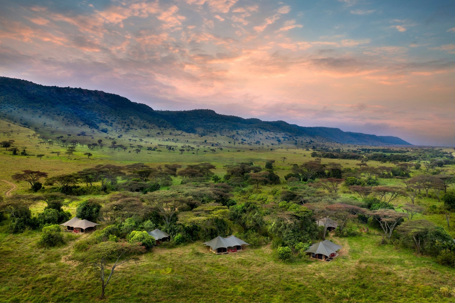 Steady and seamless — Angama Safari Camp in the heart of the Mara