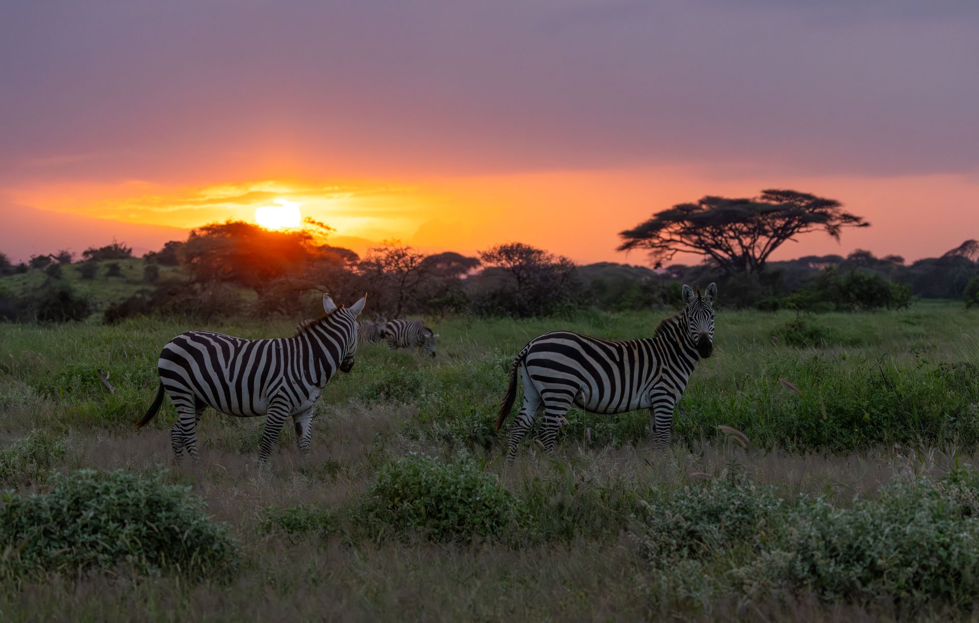 F 7.1, 1/2000, ISO 5000 | Sammy Njoroge 