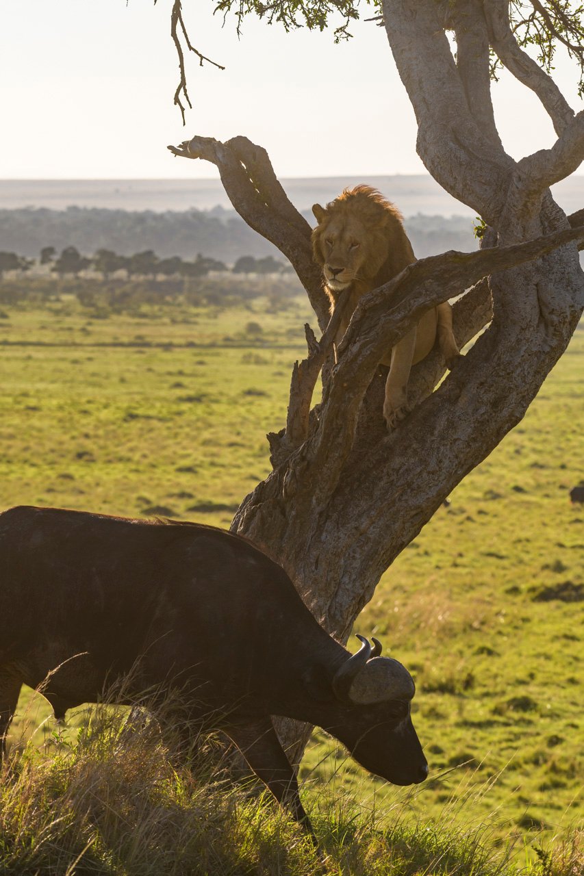 F8.0, 1/640, ISO200 | Guide Jeremy Macharia 