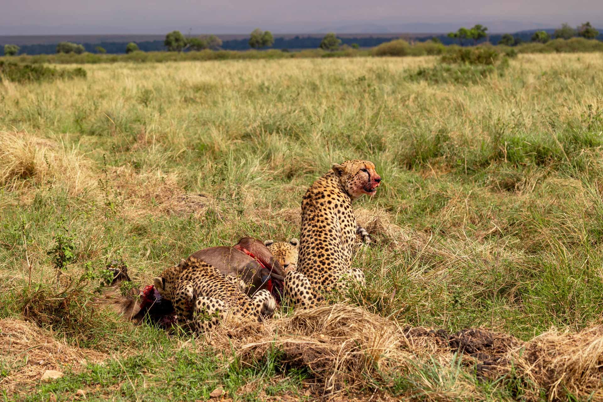 F8.0, 1/1000, ISO250 | Sammy Njoroge 