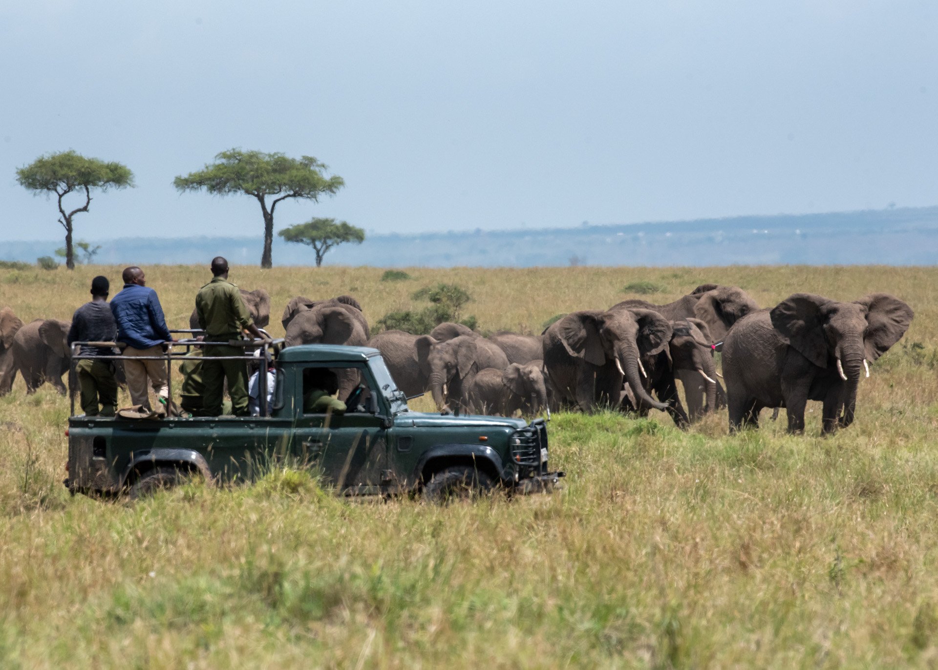 Tracking not for show, but for protection — every sighting helps keep them safe
