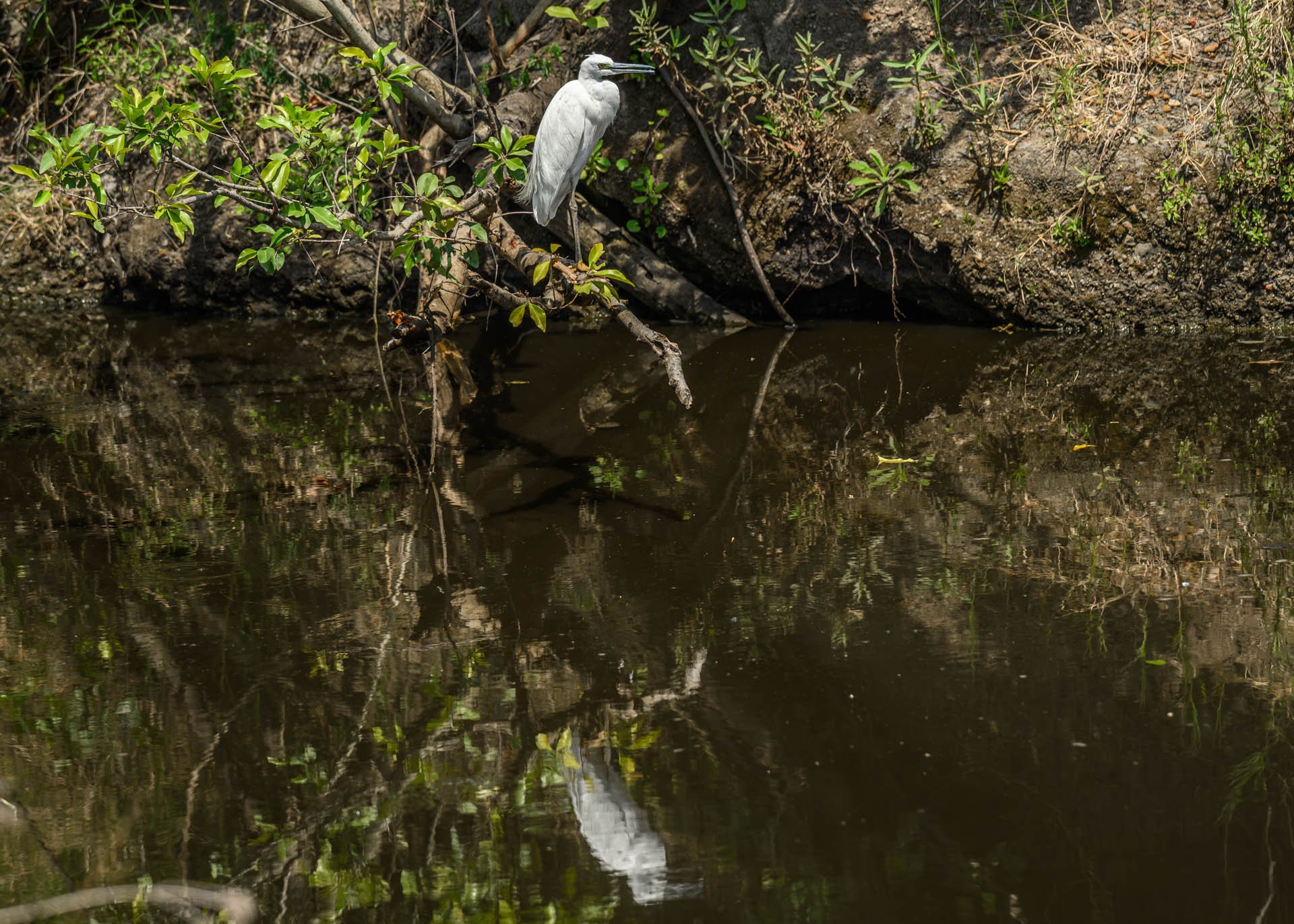 F7.1, 1/1250, ISO200 | Rio Marvin 