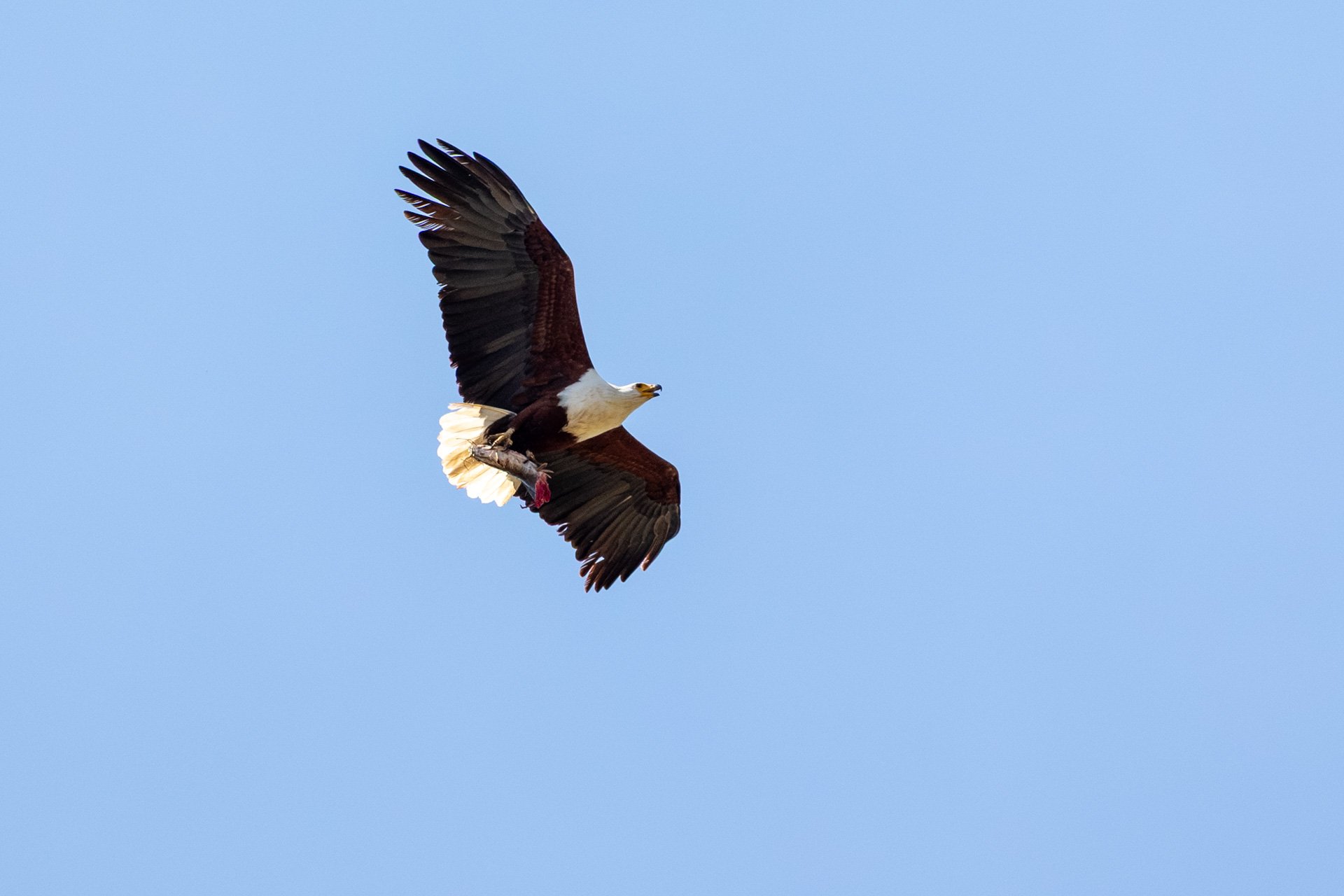 F 8, 1/2500, ISO 800 | Sammy Njoroge 