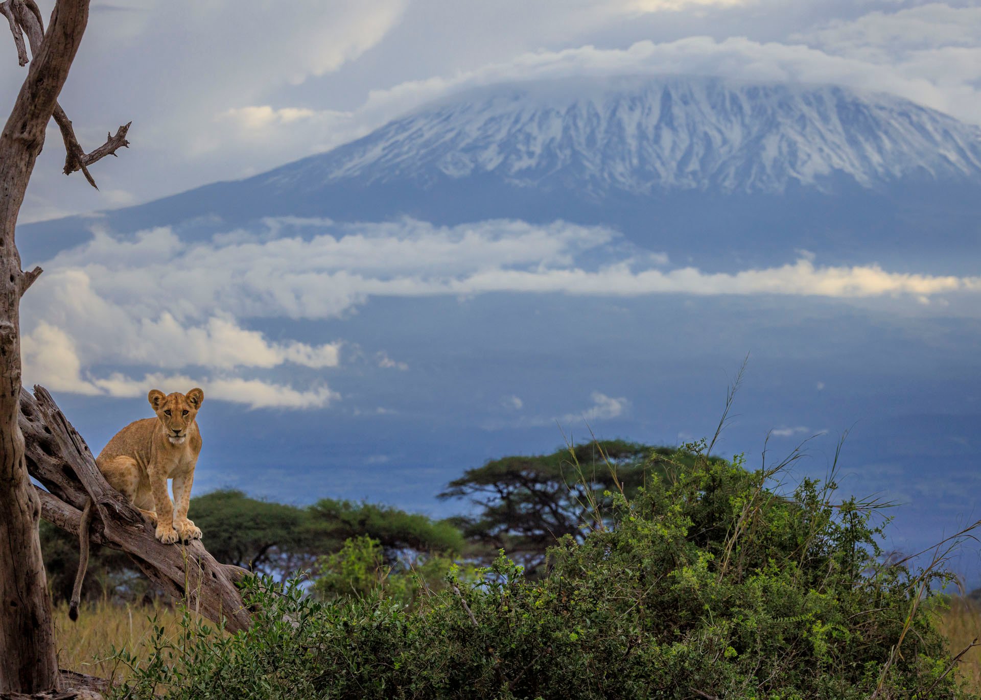 F10.0, 1/1000, ISO1000 | Marvin Mwarangu 