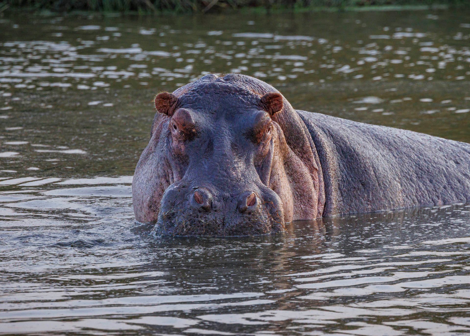 F6.3, 1/640, ISO640 | Rio Marvin 