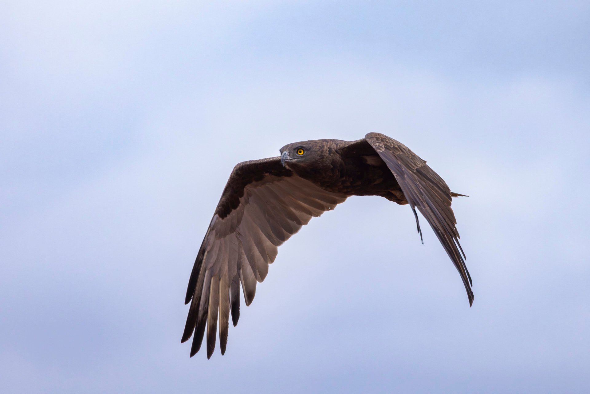 F 8, 1/6400, ISO 2000 | Sammy Njoroge 