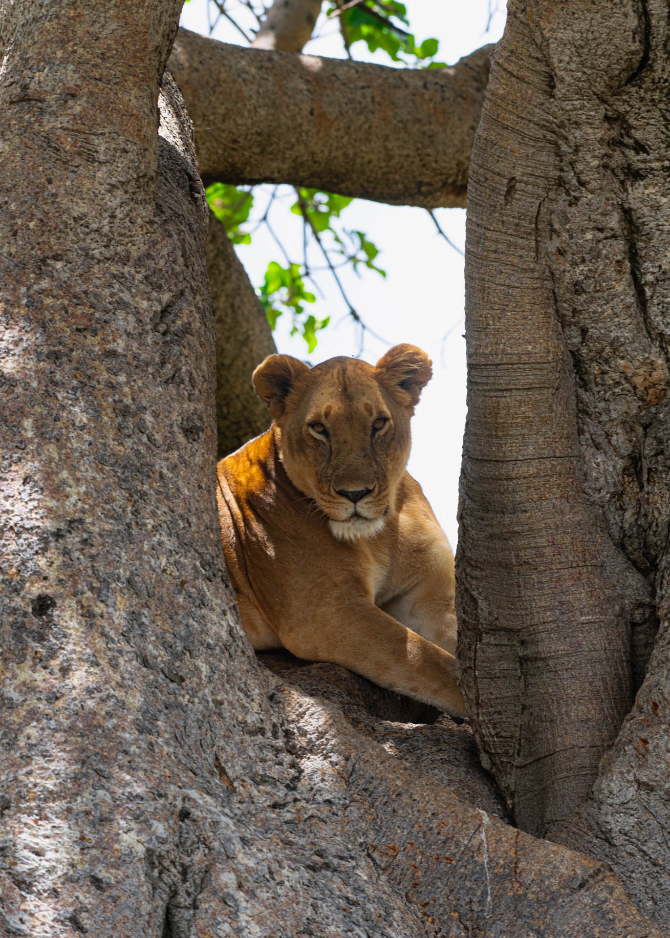 F8.0, 1/200, ISO320 | Guide Jeremy Macharia