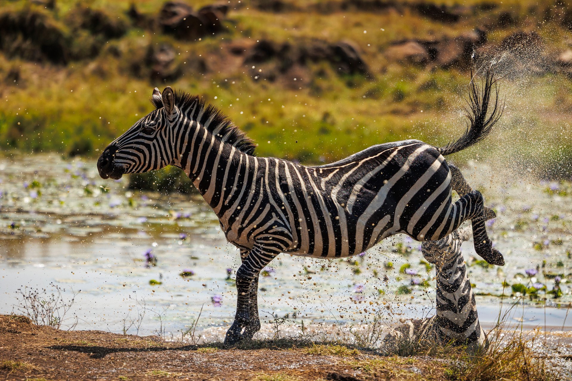 F3.2, 1/8000, ISO 250 | Japheth Supeyo 