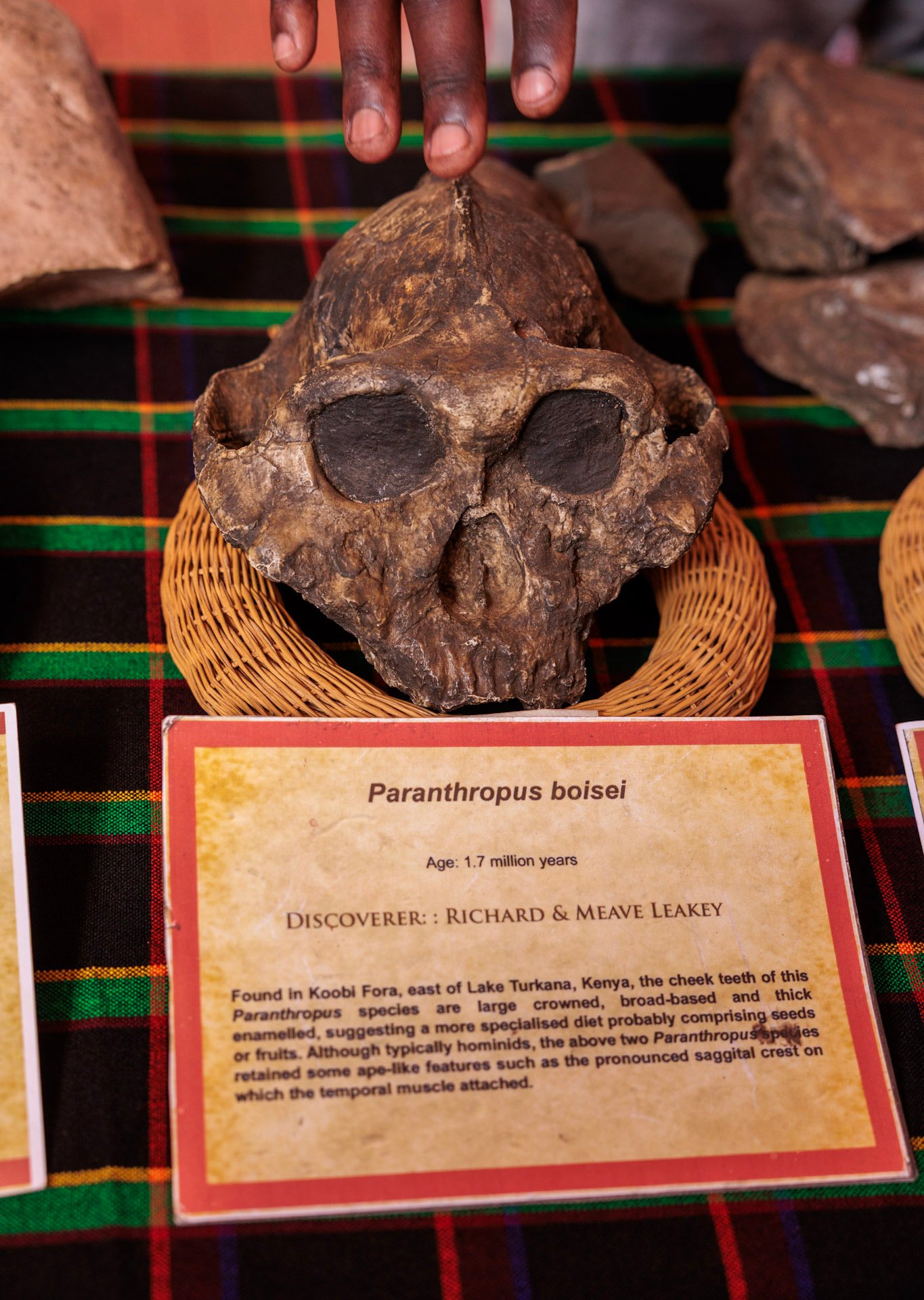 Kenya’s prehistory stretches from early apes to farming and ironworking