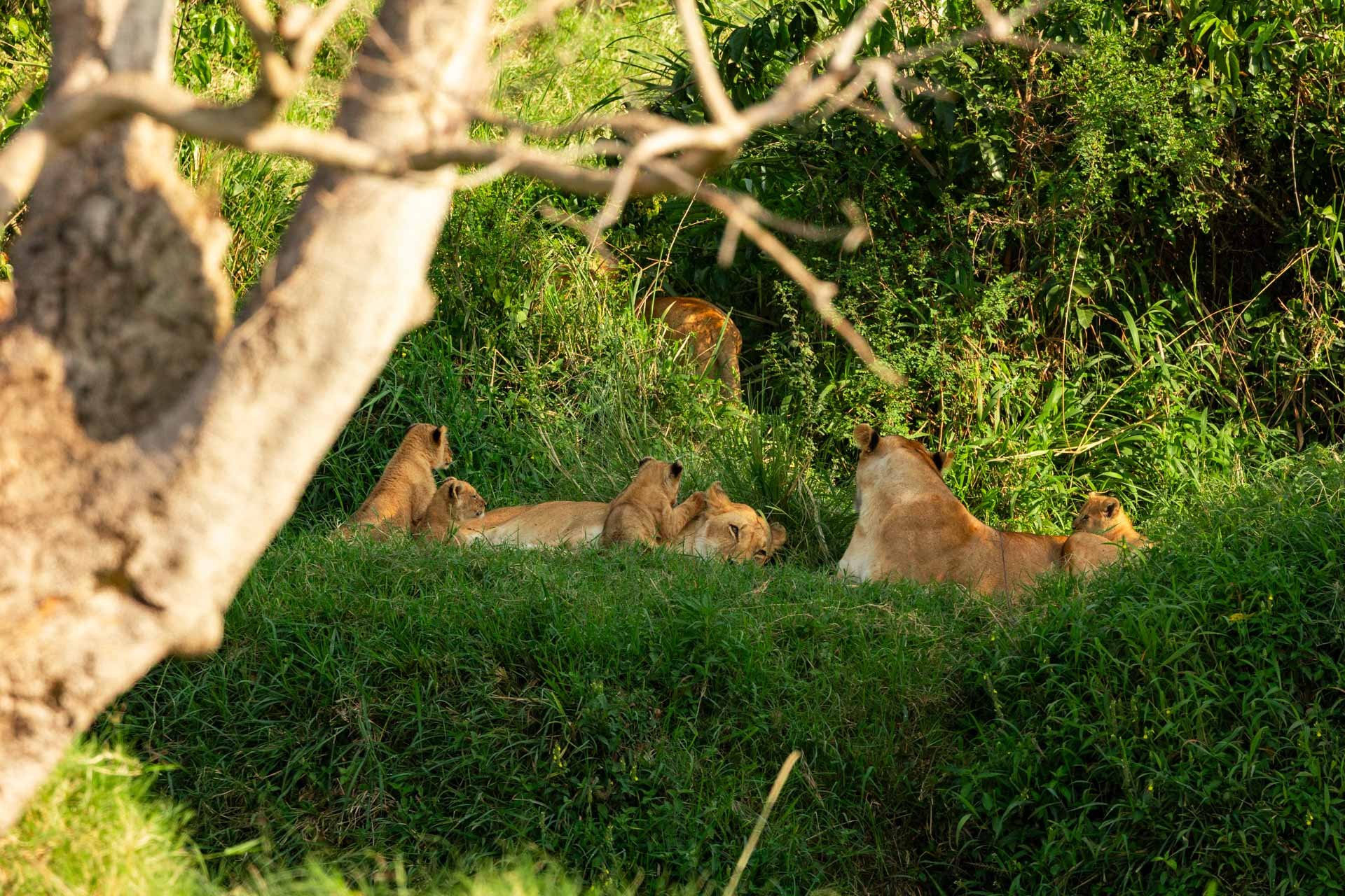 F 8, 1/800, ISO 640 | Robert Sayialel 