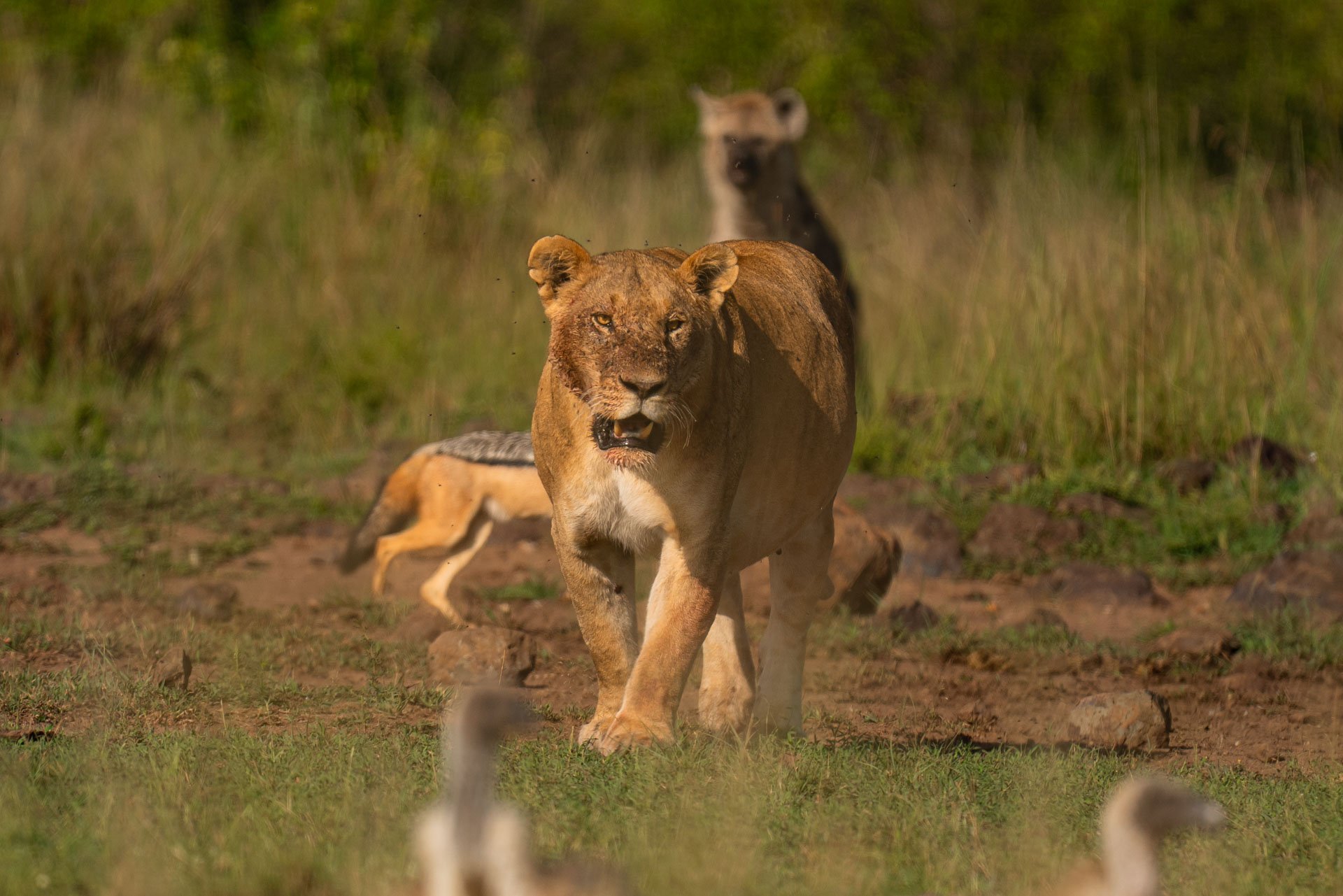 F6.3, 1/1250, ISO160 | Arnold Omondi 