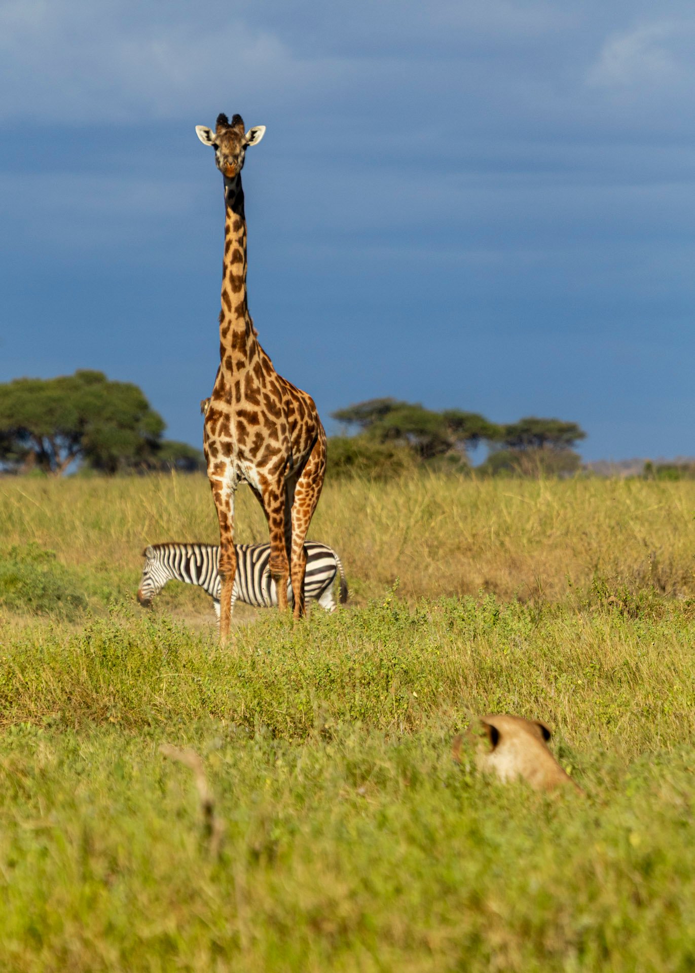 F 7.1, 1/1000, ISO 200 | Guide Johnson Salash 