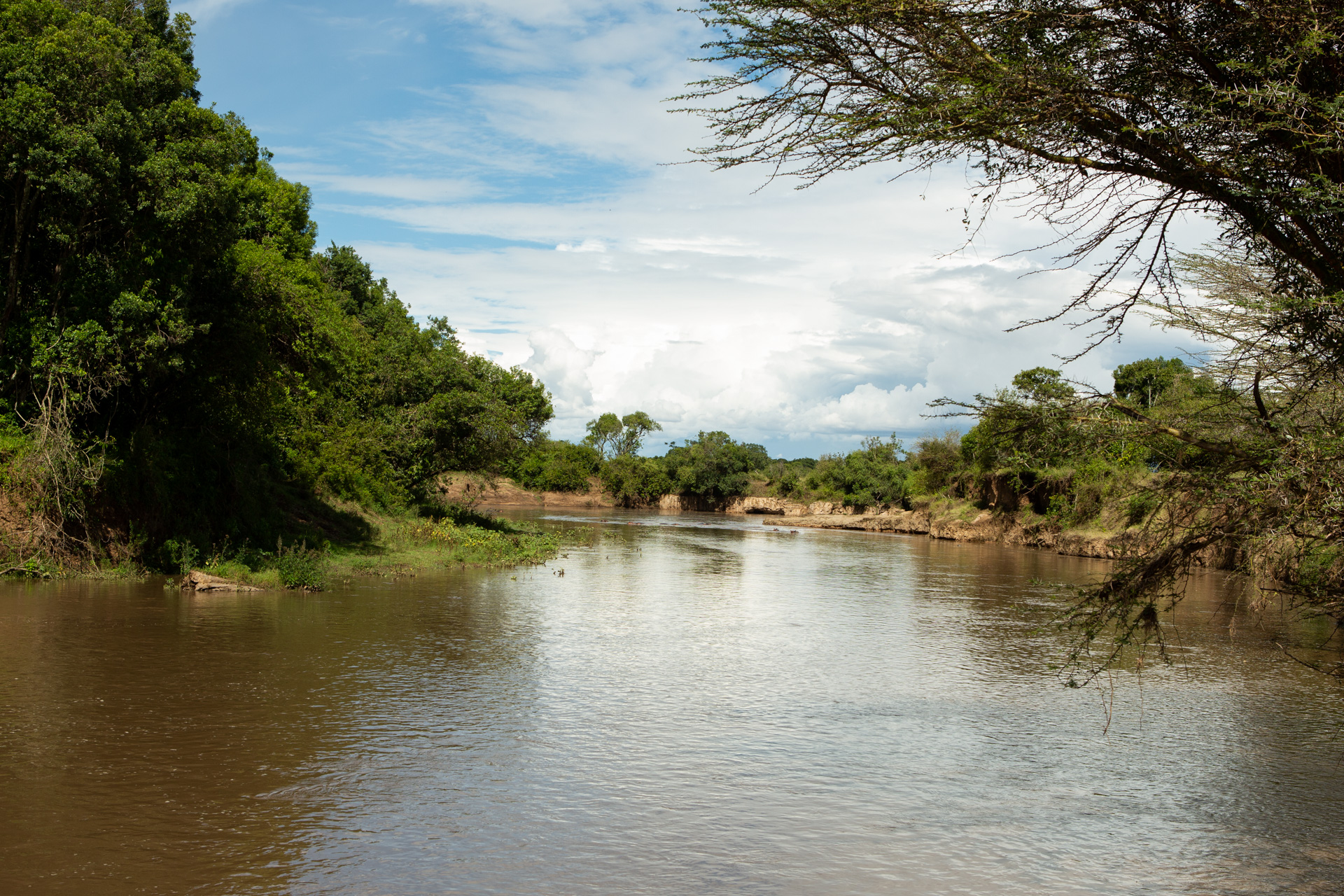 Mara river full