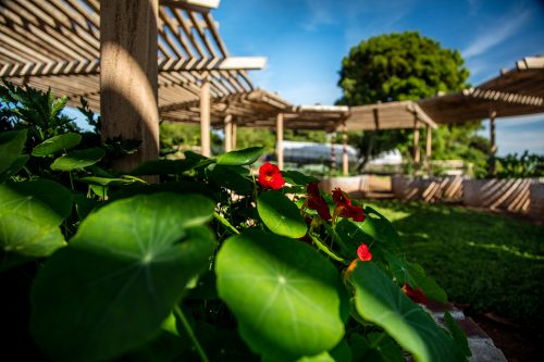 Angama's Shamba, the whimsical garden that continuously delights our guests
