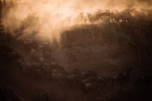 The drama and the dust of a river crossing