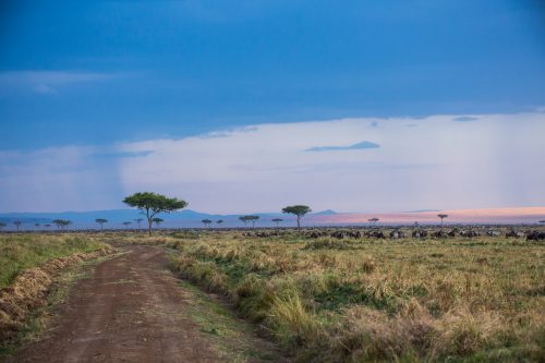 The dramatic, every changing skies of the Maasai Mara