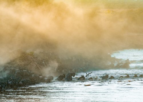 Morning light shines a spotlight on the Mara River